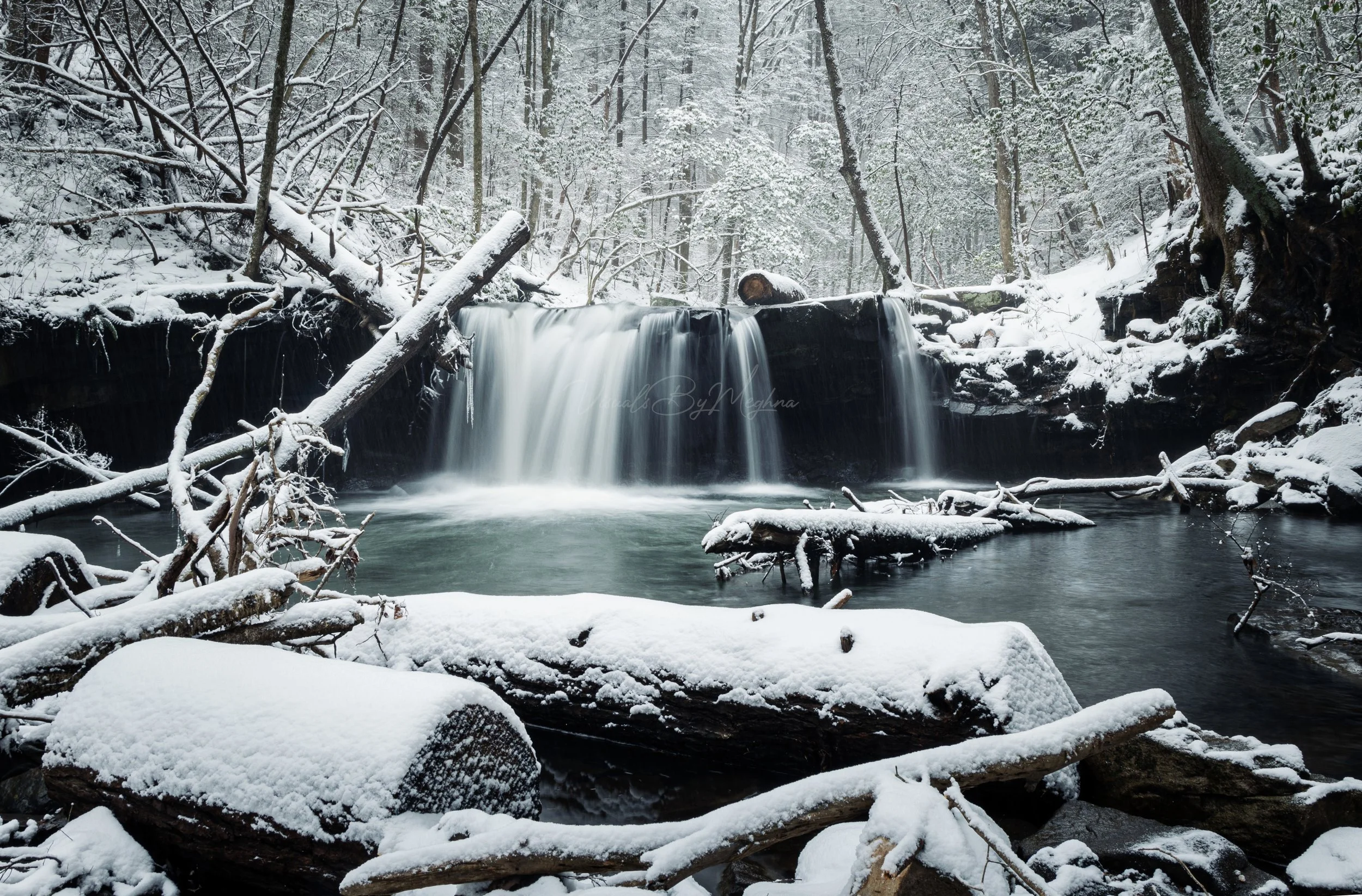 Fiery Gizzard Trail, TN
January 2024