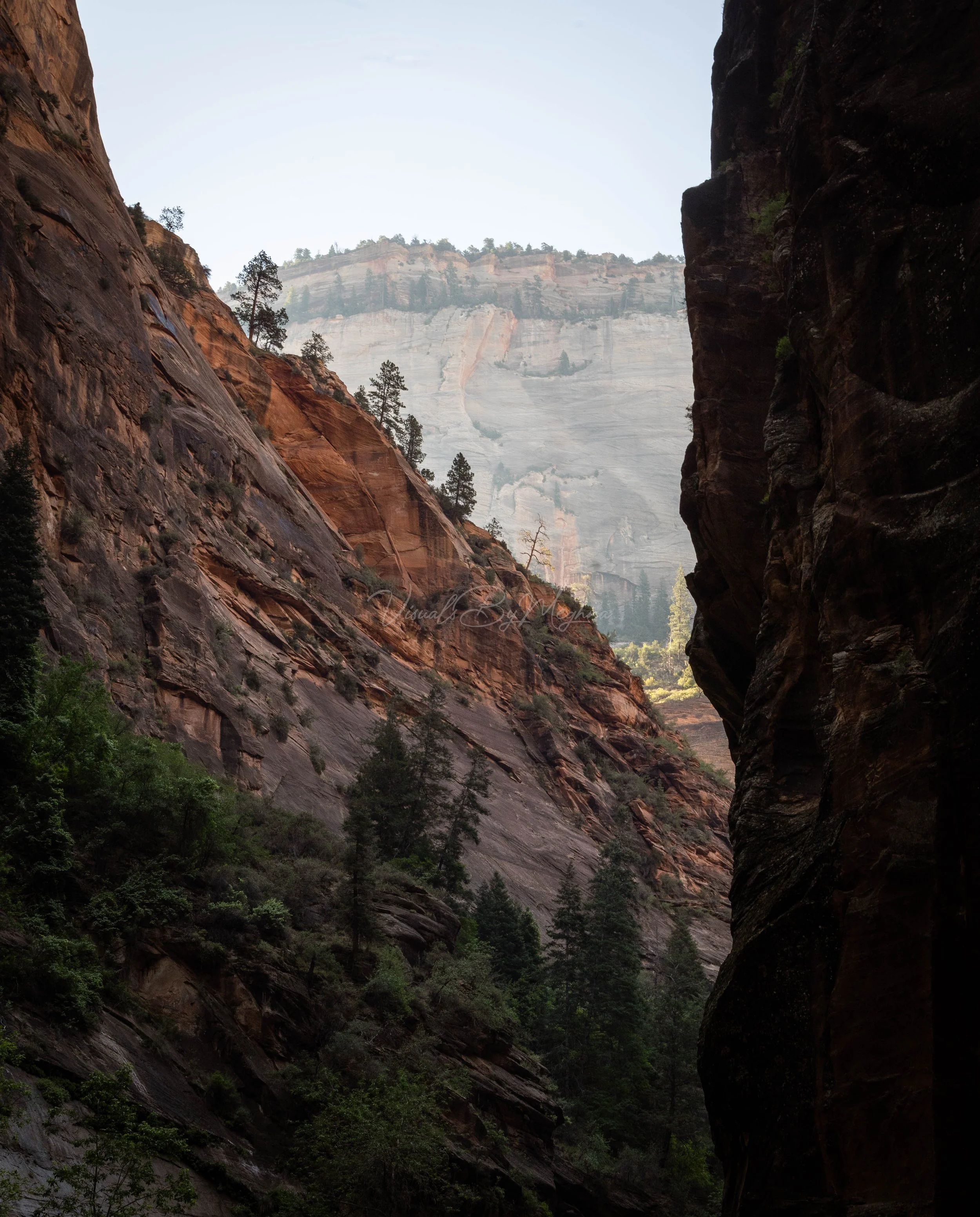 The Narrows - Zion National Park, UT 2024