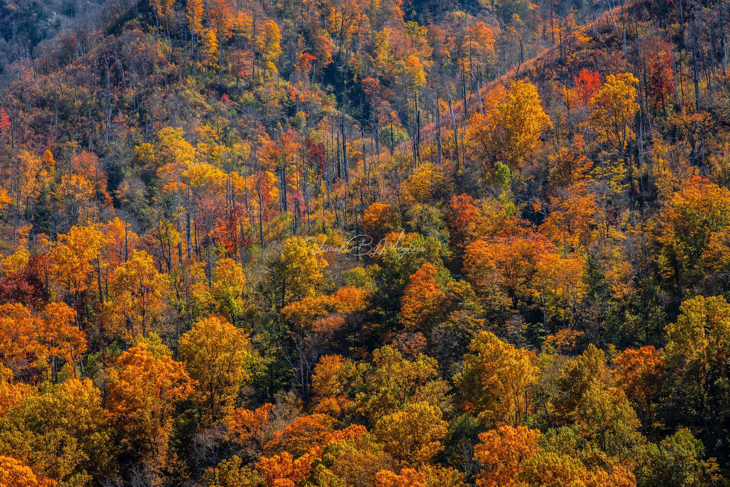 The Great Smoky Mountains -
Fall 2022