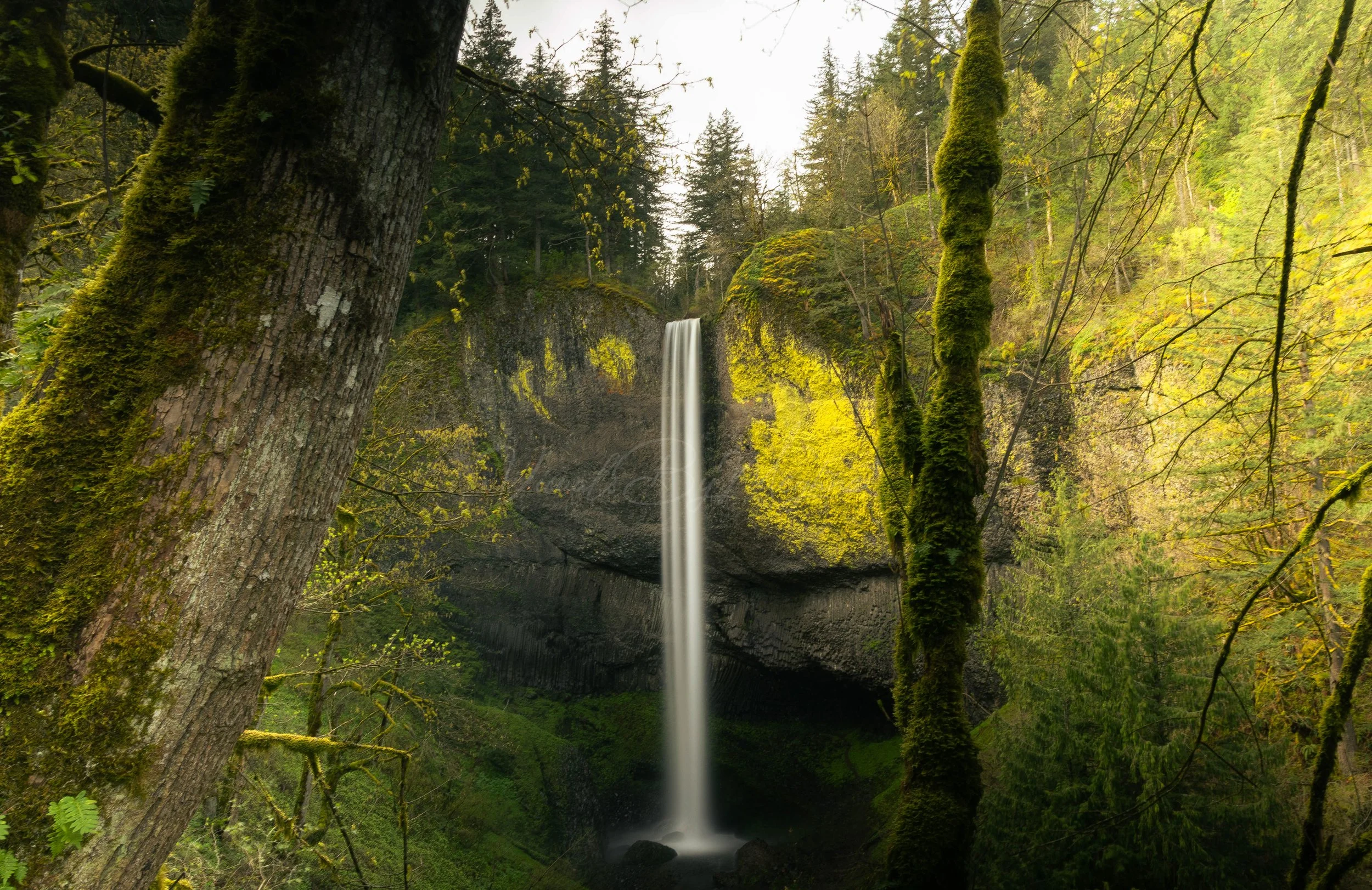 Latourell Falls, OR - 2025