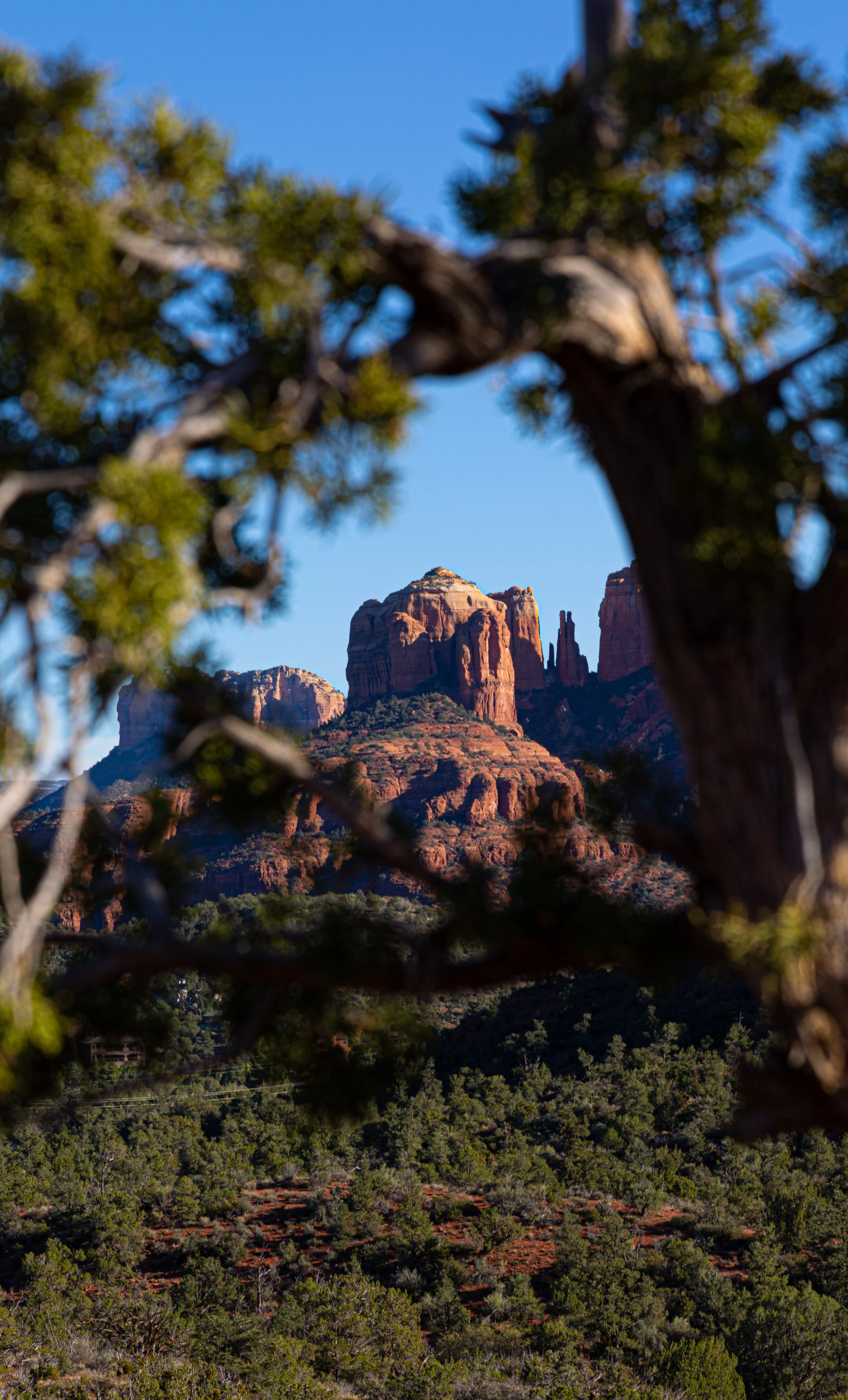 Sedona Arizona, 2021