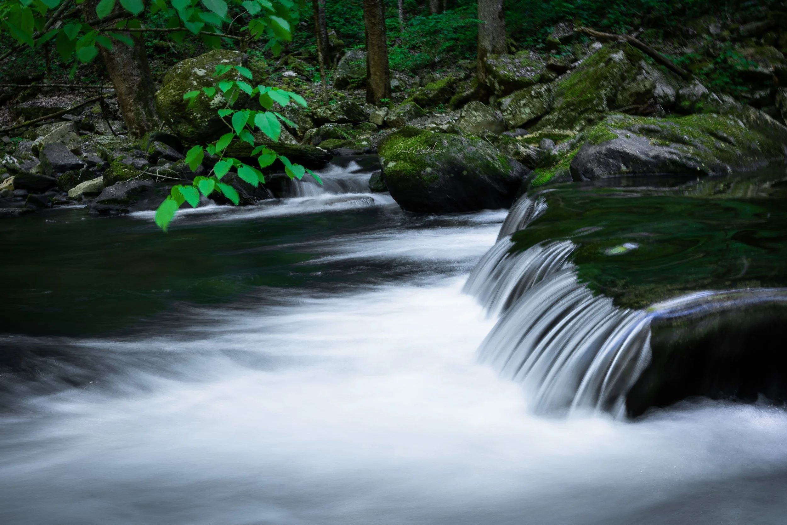 Savage Gulf State Park - Summer 2023