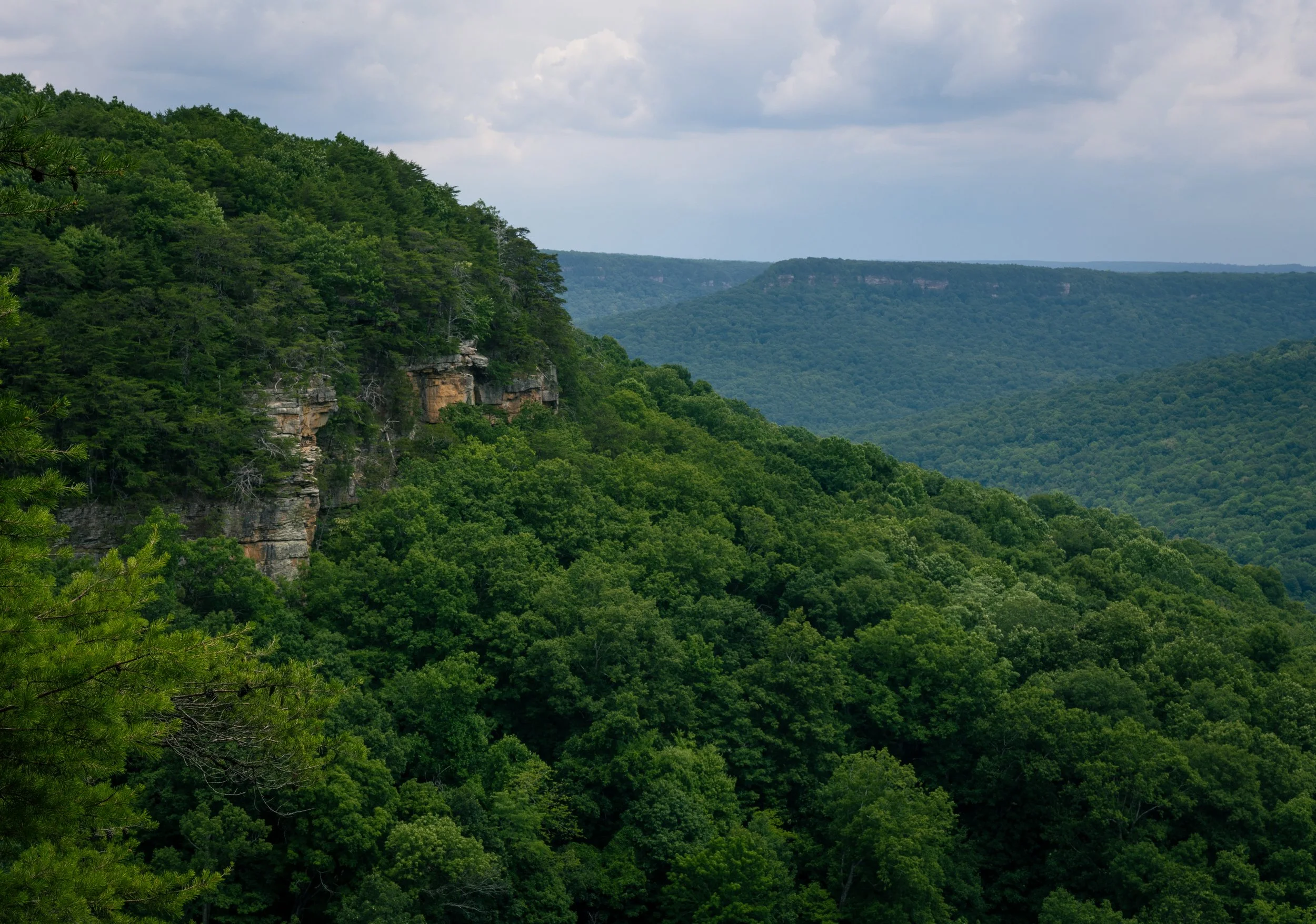 Savage Gulf State Park, TN - Summer 2022