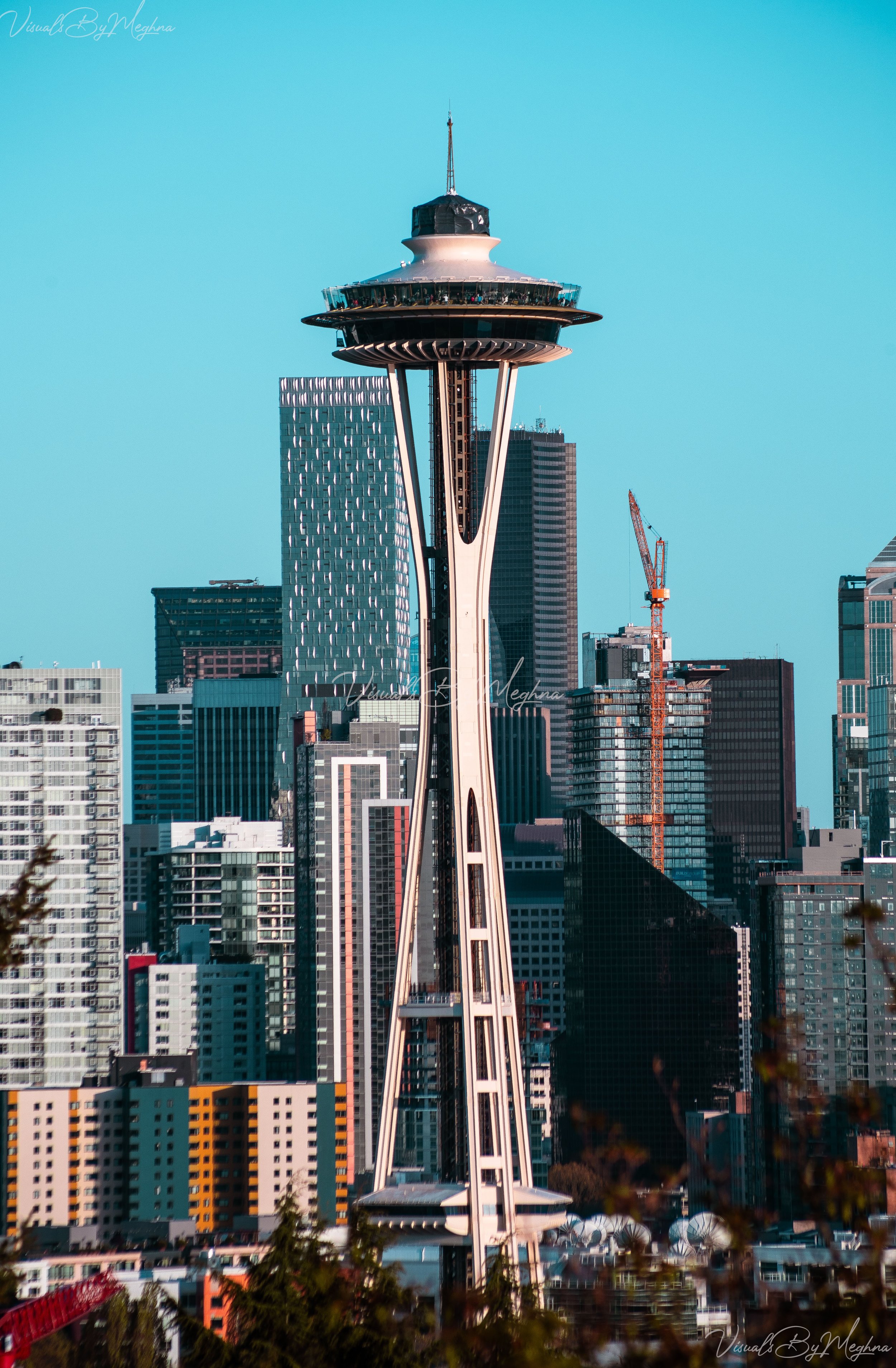 The Seattle Space Needle - 2024