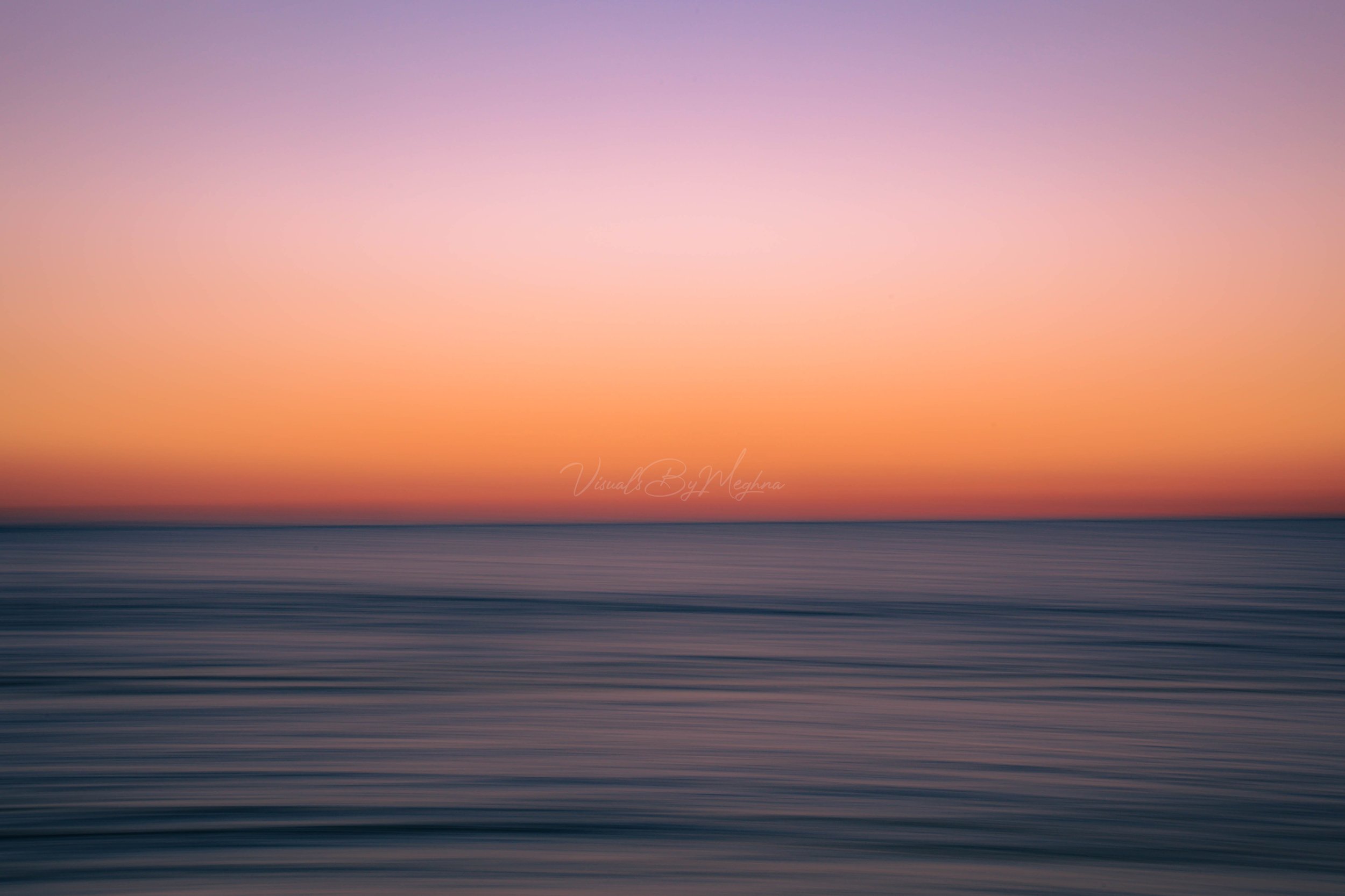 Florida - in a world of my own - 2024