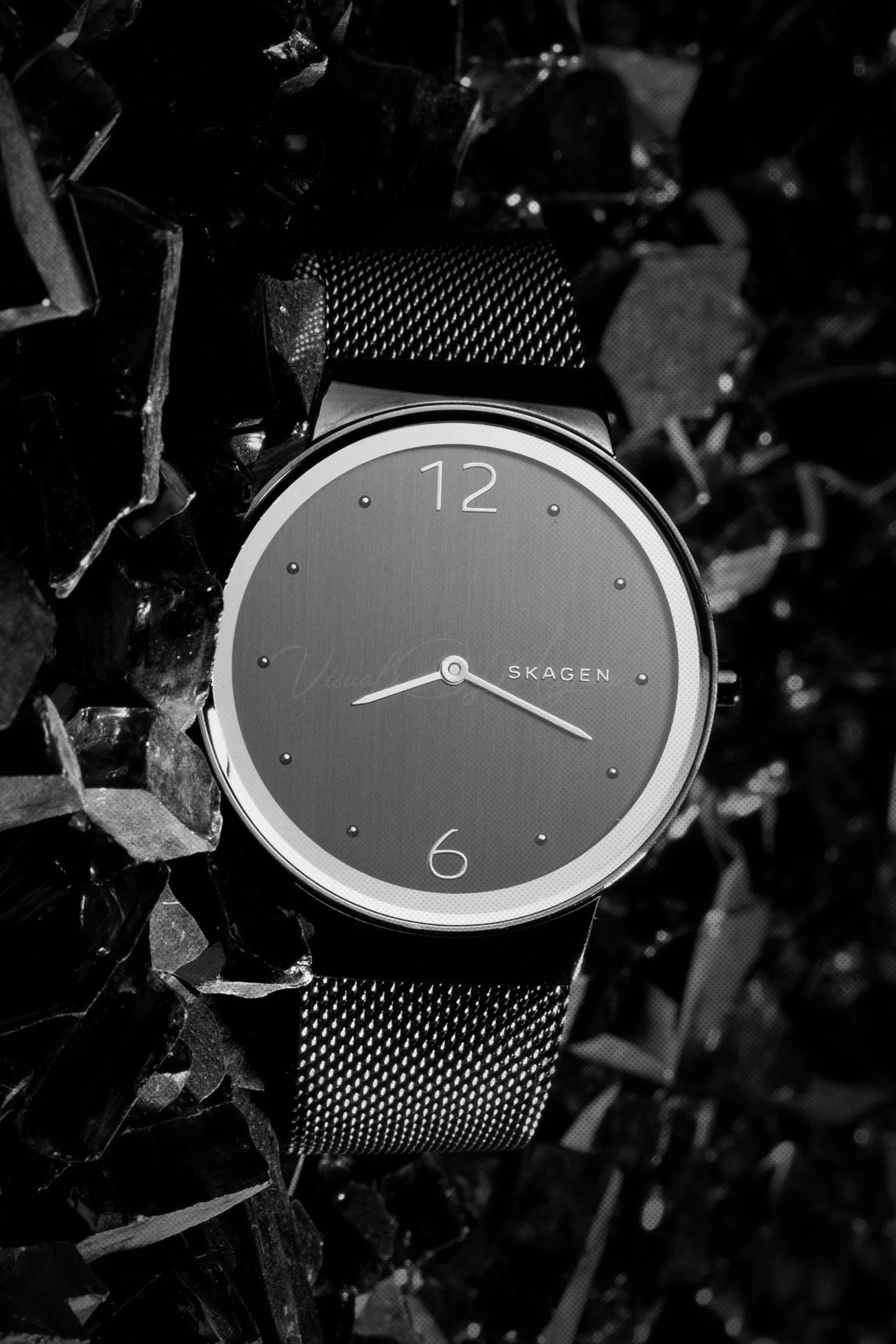 2023a_ph410_WATCH_mbhakta_01.jpg