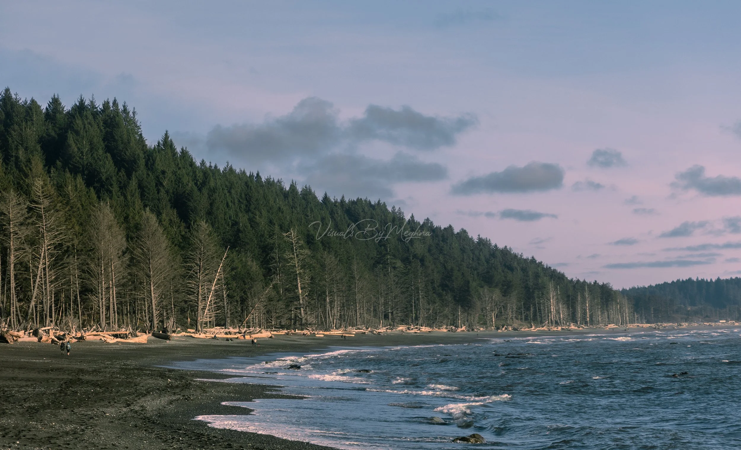 Rialto Beach, WA 2024