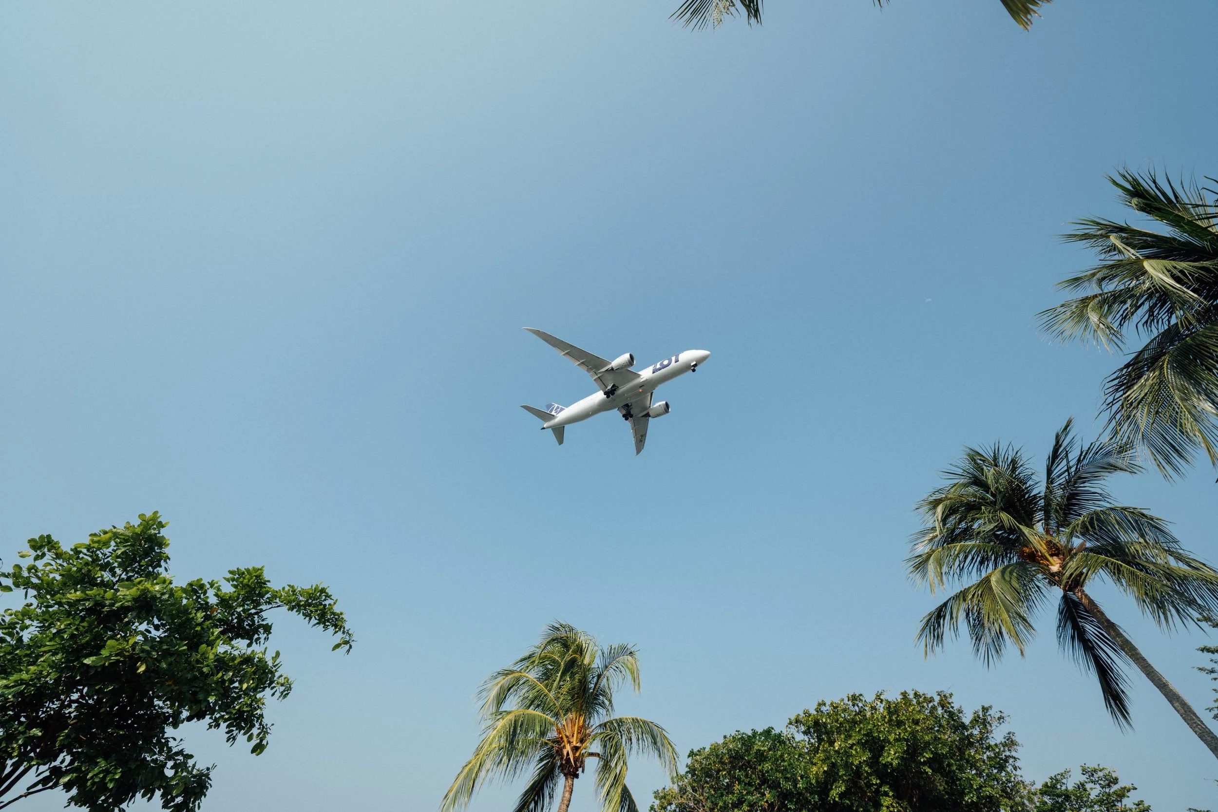 hanson-lu-doSvJDitJrQ-unsplash.jpg