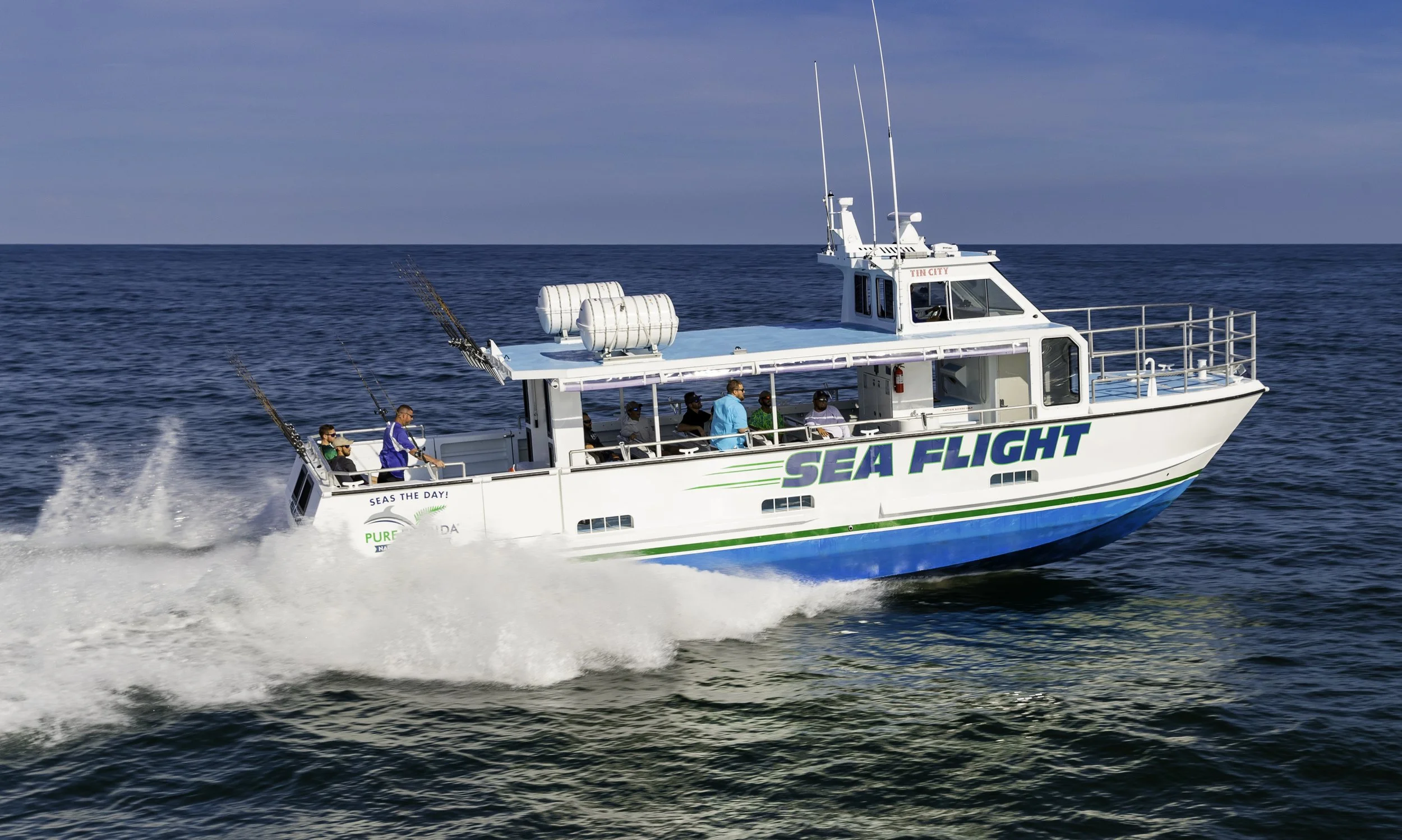 Sea Flight 1-11.jpg