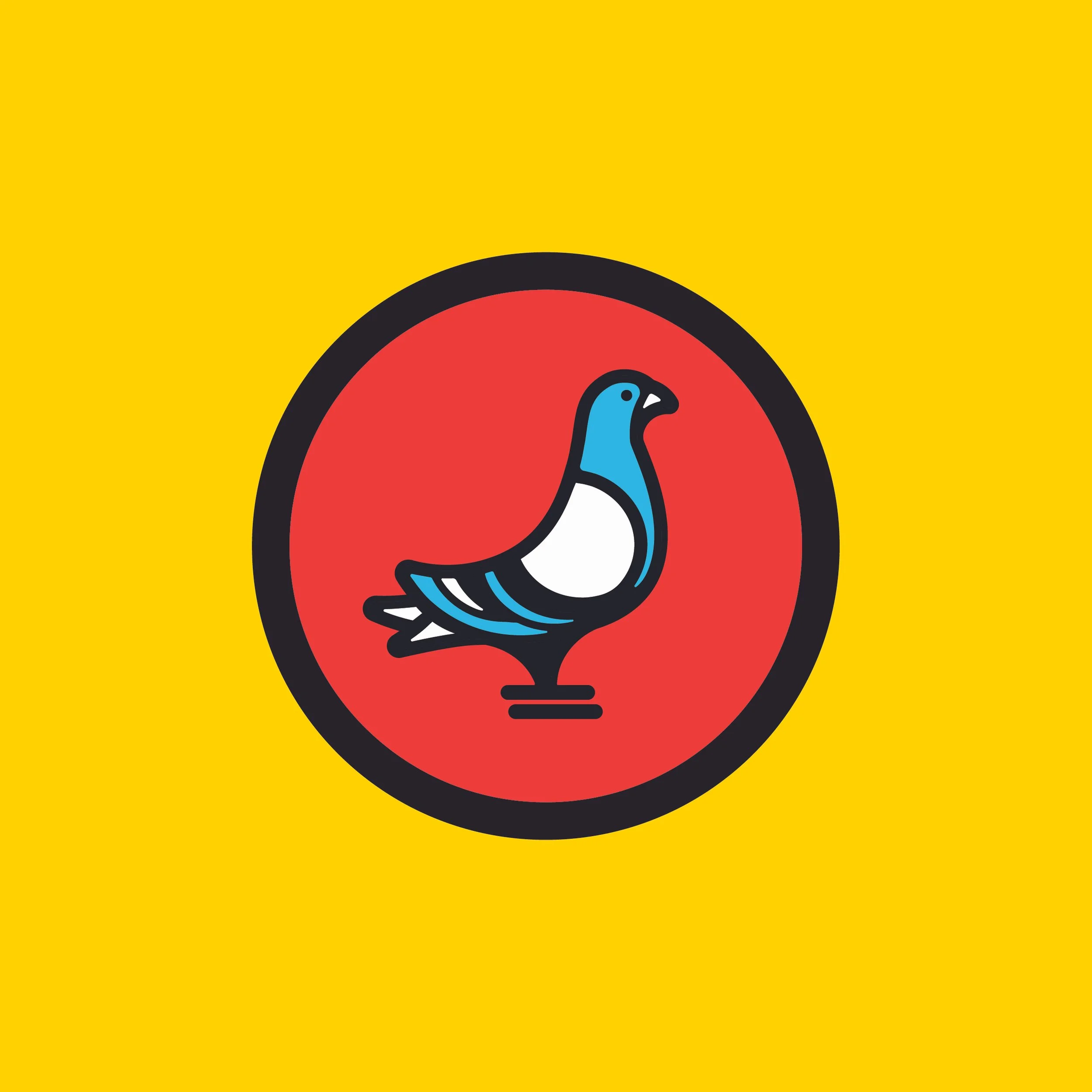 Pigeon.jpg
