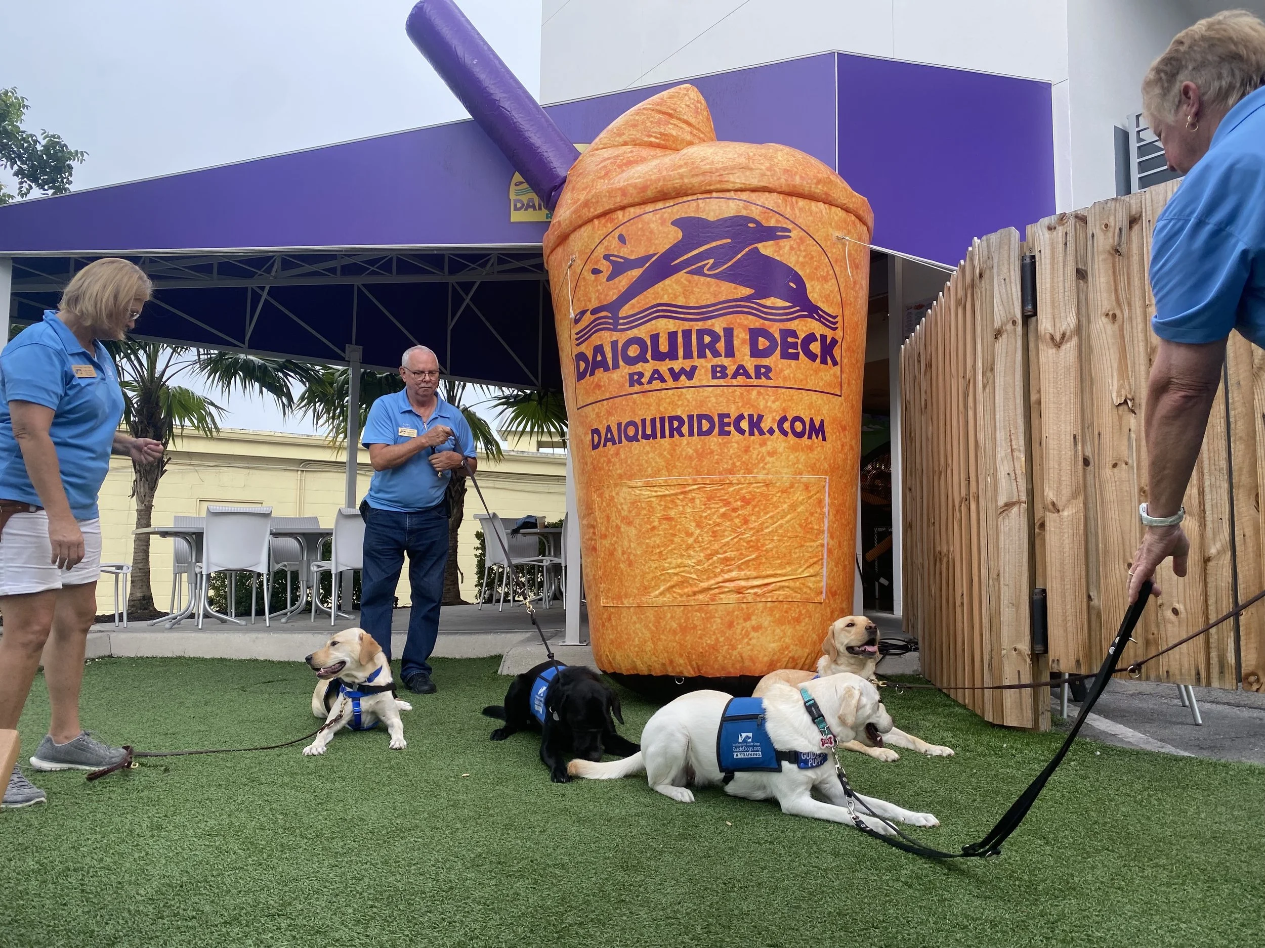 Daiquiri Deck &amp; Southeastern Guide Dogs Collaborate