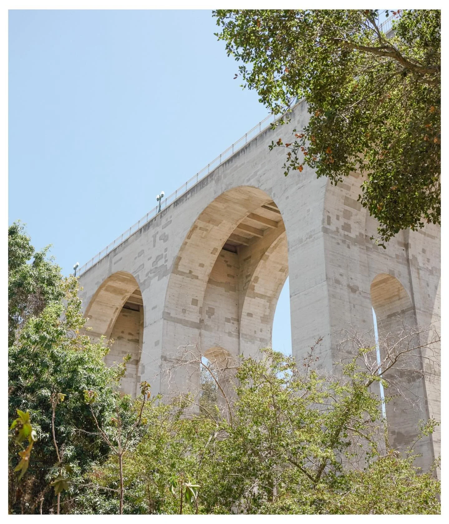 163 South. A new Balboa park set. from yesterday&rsquo;s photo walk with @sdwalkabouts this probably one my last walks here in SD so I wanted to make sure I captured something iconic here in SD which is Carrillo bridge. My selected shots are now up t