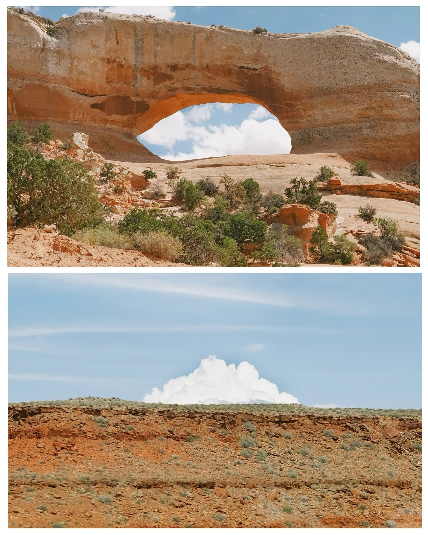 western eyes || Moab, UT 

finally getting to all the photos I took driving across country. more to come! 
&bull;
&bull;
&bull;
&bull;
#fujigfx50s #mediumformat #fujigfx #noicemag #ishootfujifilm #roadtrip #fujifeed #southwest #somewheremagazine #ima