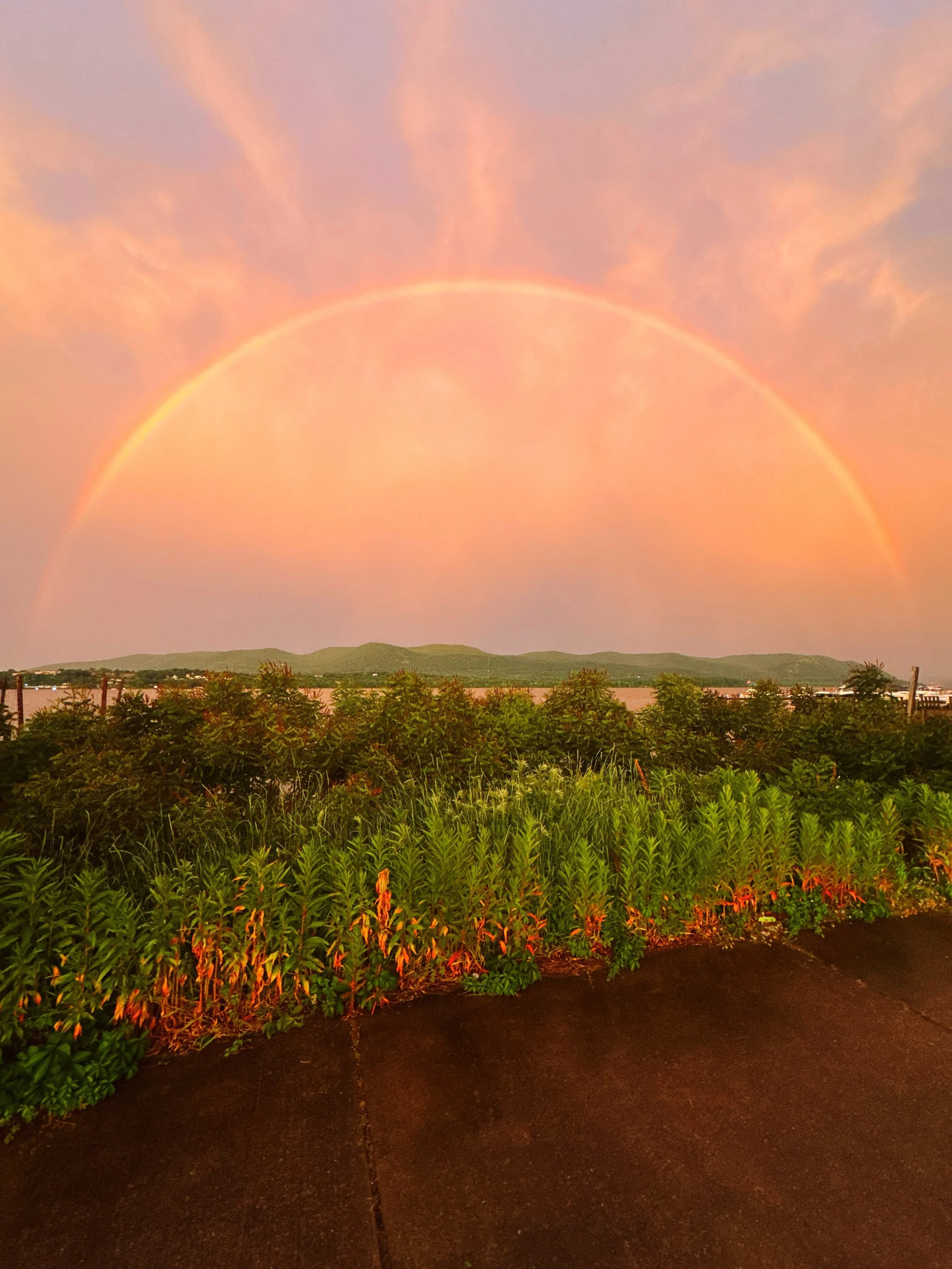 Hudson Valley rainbows hit different.