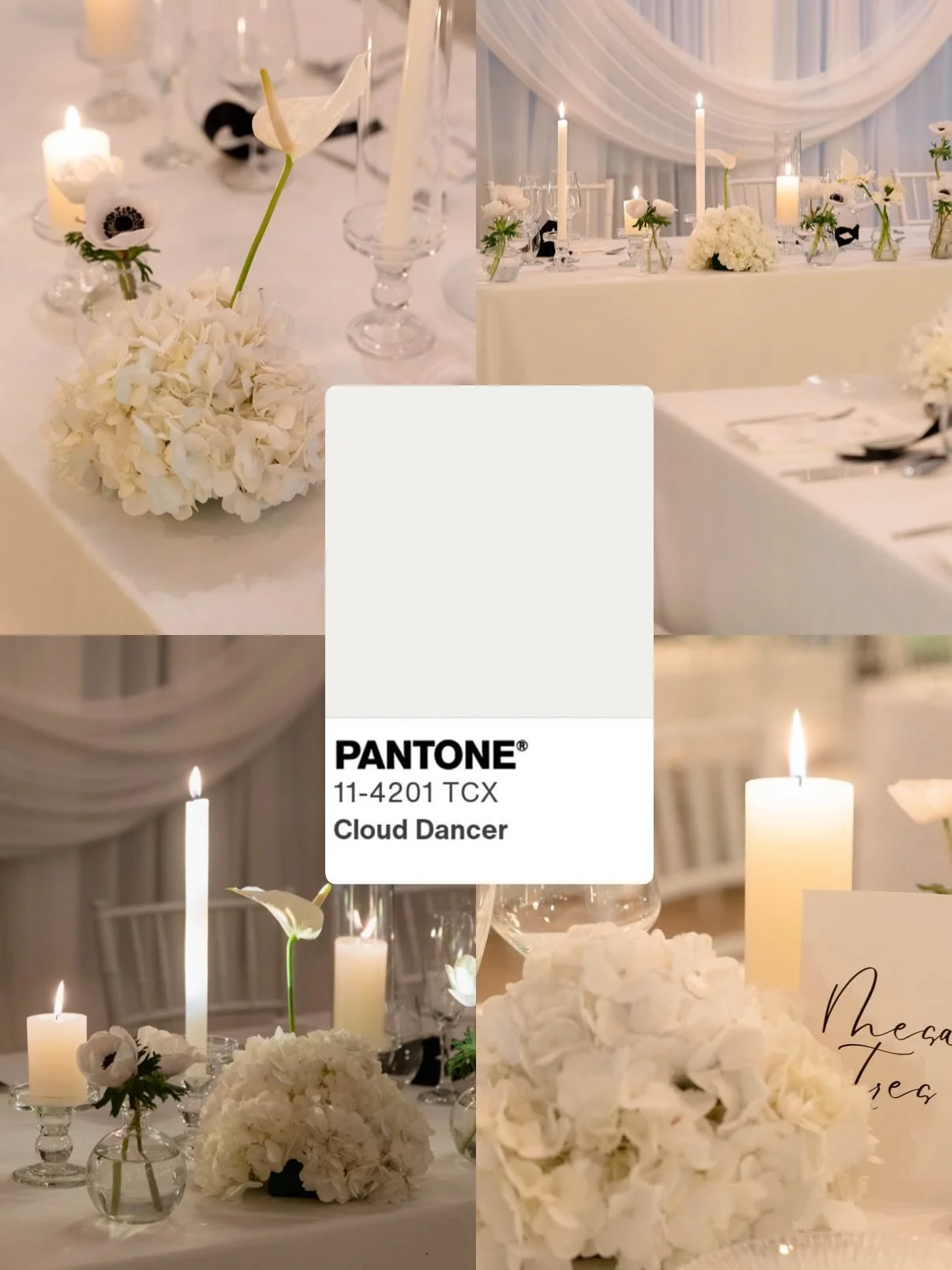 Y de la explosi&oacute;n de color de la &uacute;ltima publicaci&oacute;n pasamos al Pantone del a&ntilde;o el #clouddancer 
Serenidad, elegancia y tranquilidad una nube de humo que deja pasar los rayos de luz 🤍

Dise&ntilde;o y decoraci&oacute;n @vi