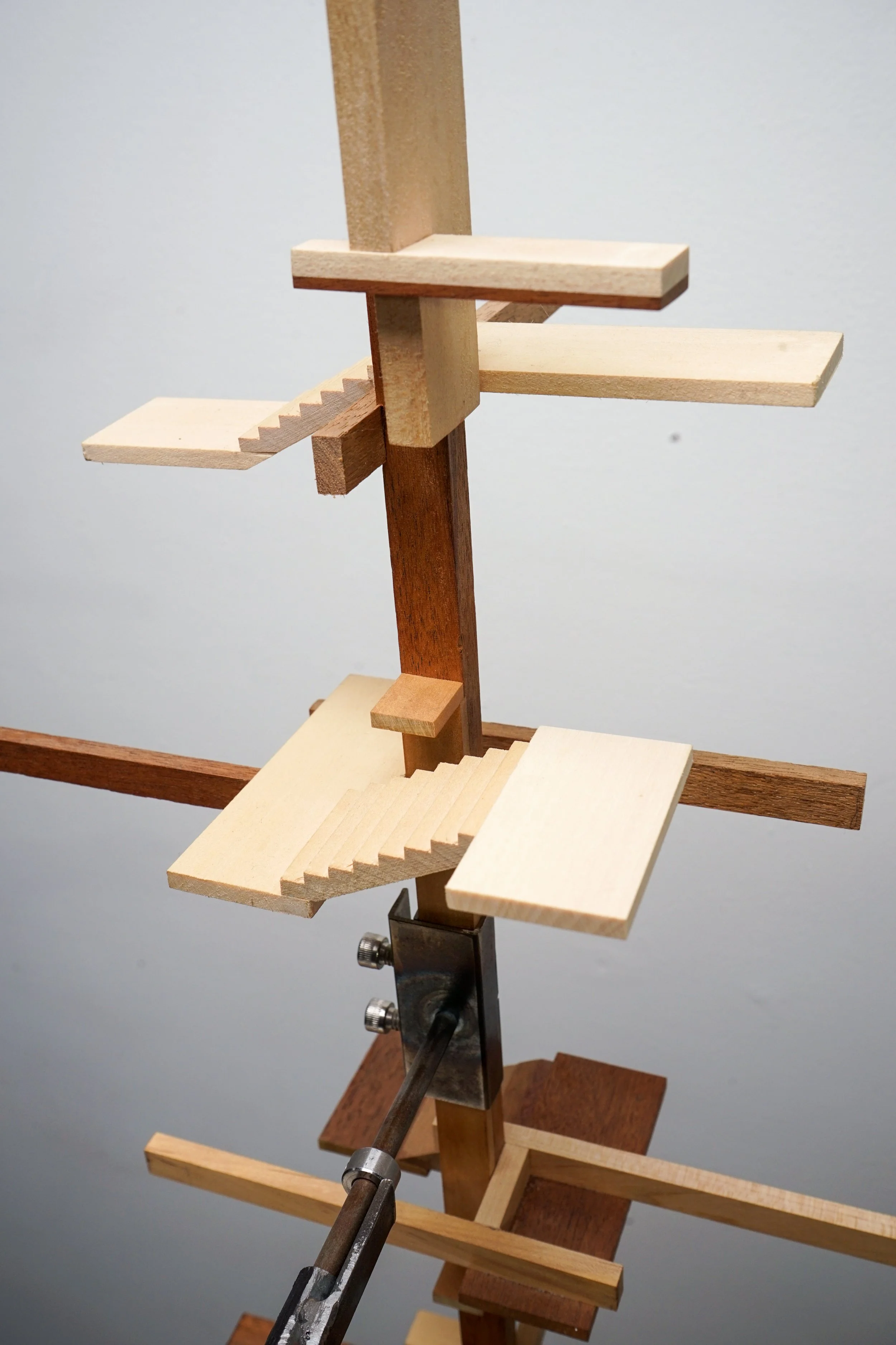 roto-02633.jpg