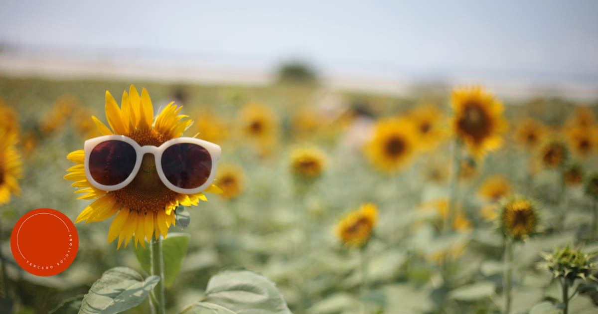 Slowing Down to Embrace Summer’s Pause