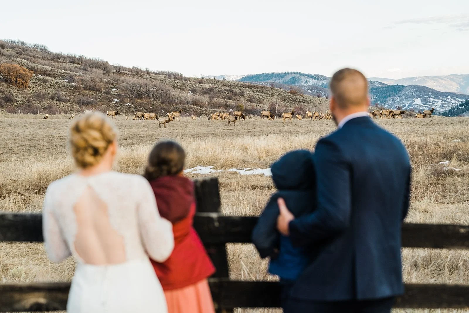 Couple with children watching elk winter ranch elopement La Joya Dulce Steamboat Springs