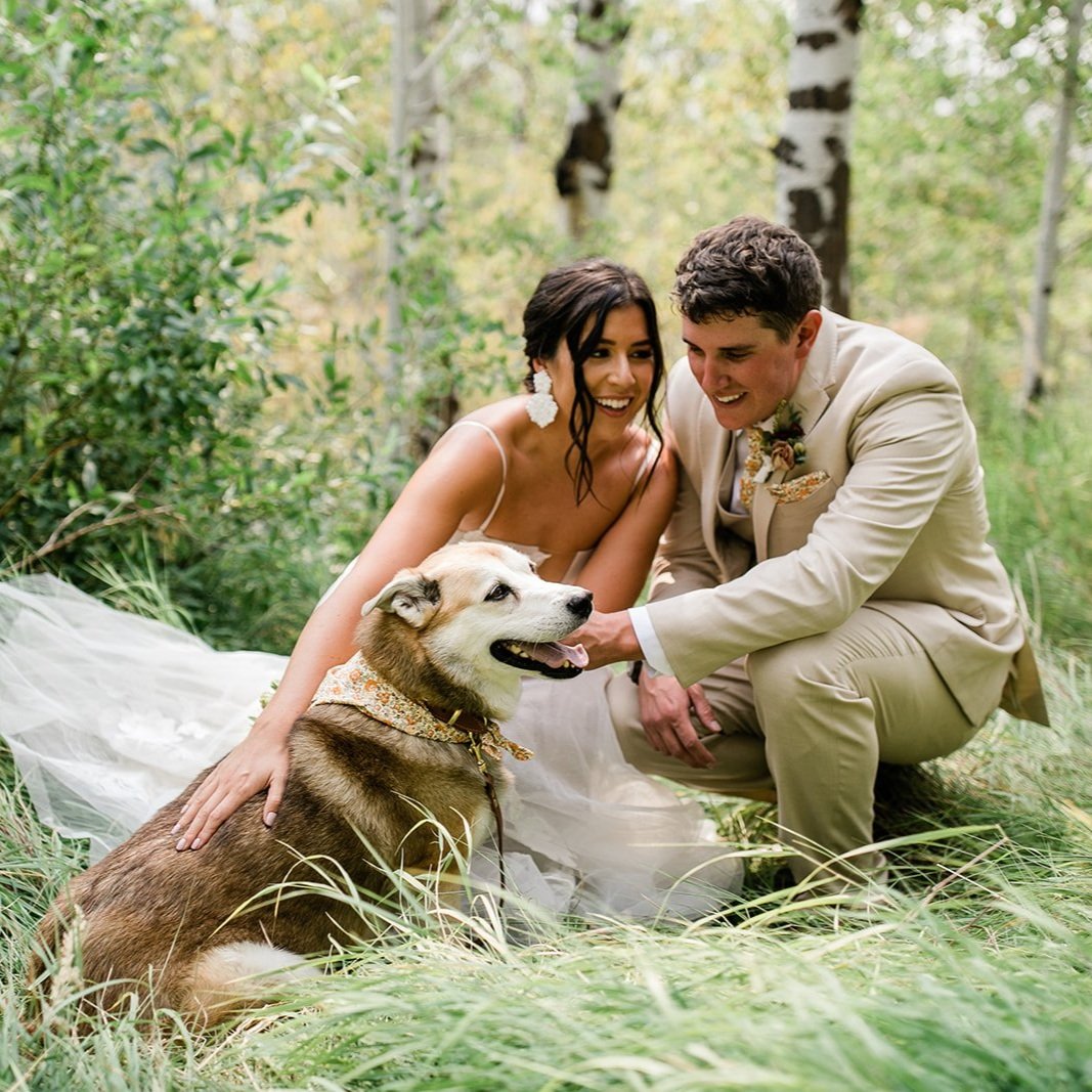 Wedding in Aspens