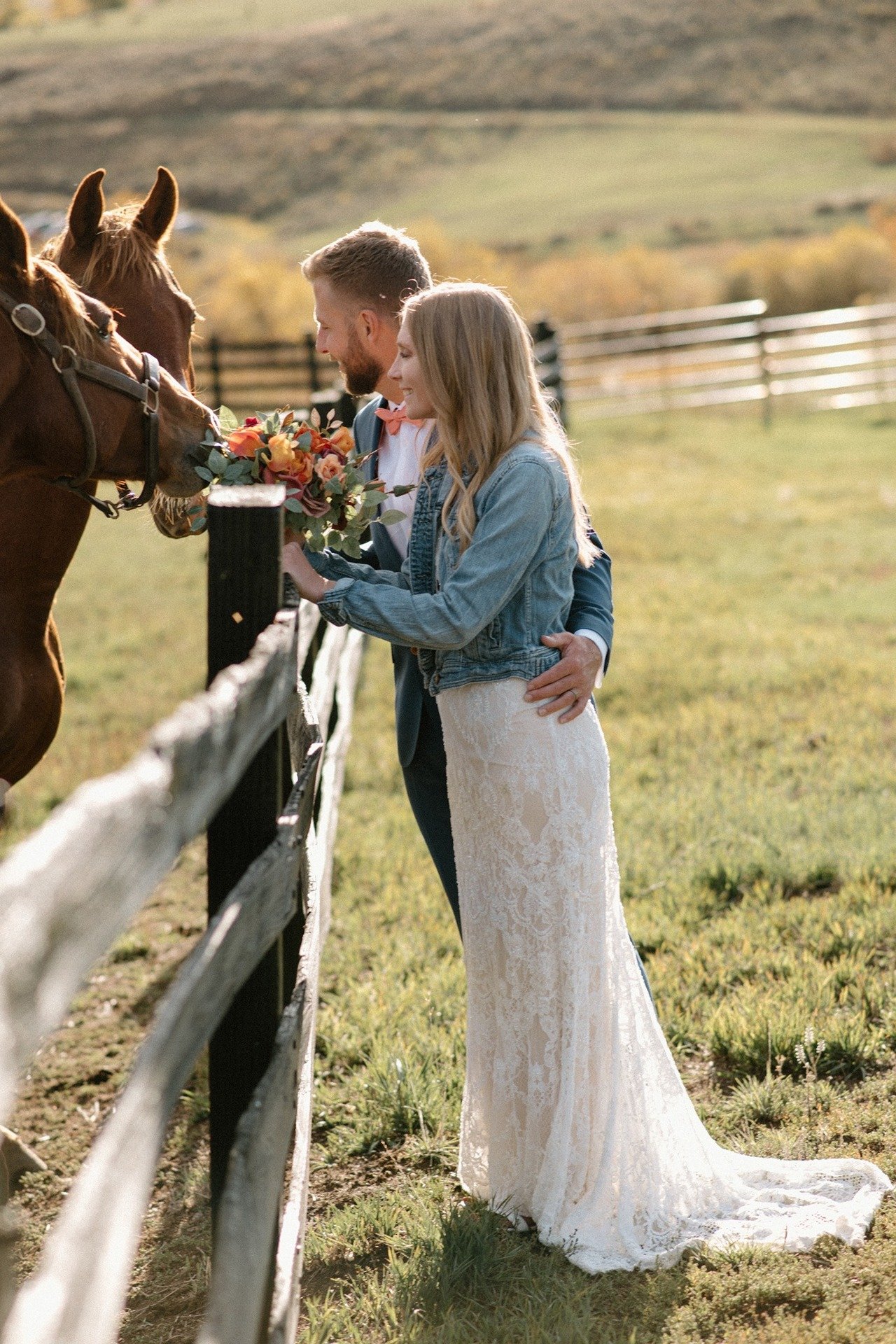 bride-groom-with-horses.jpg