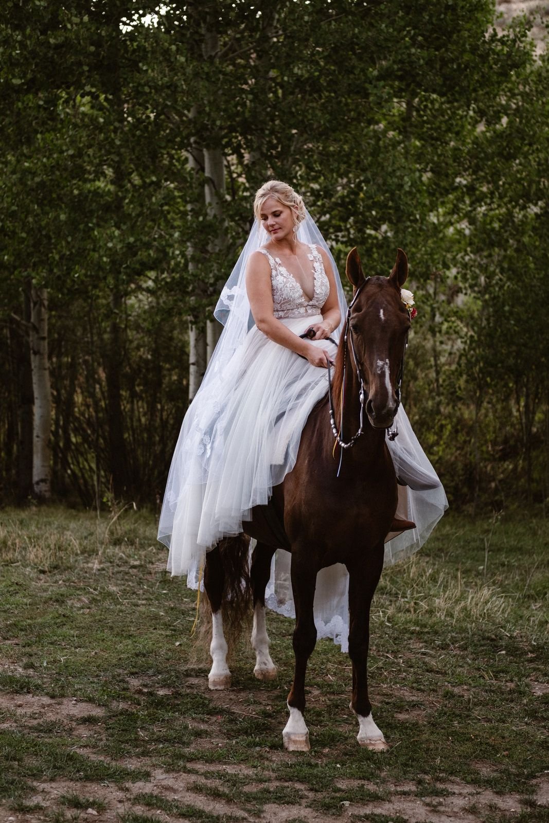 bride-on-saddlebred.jpg