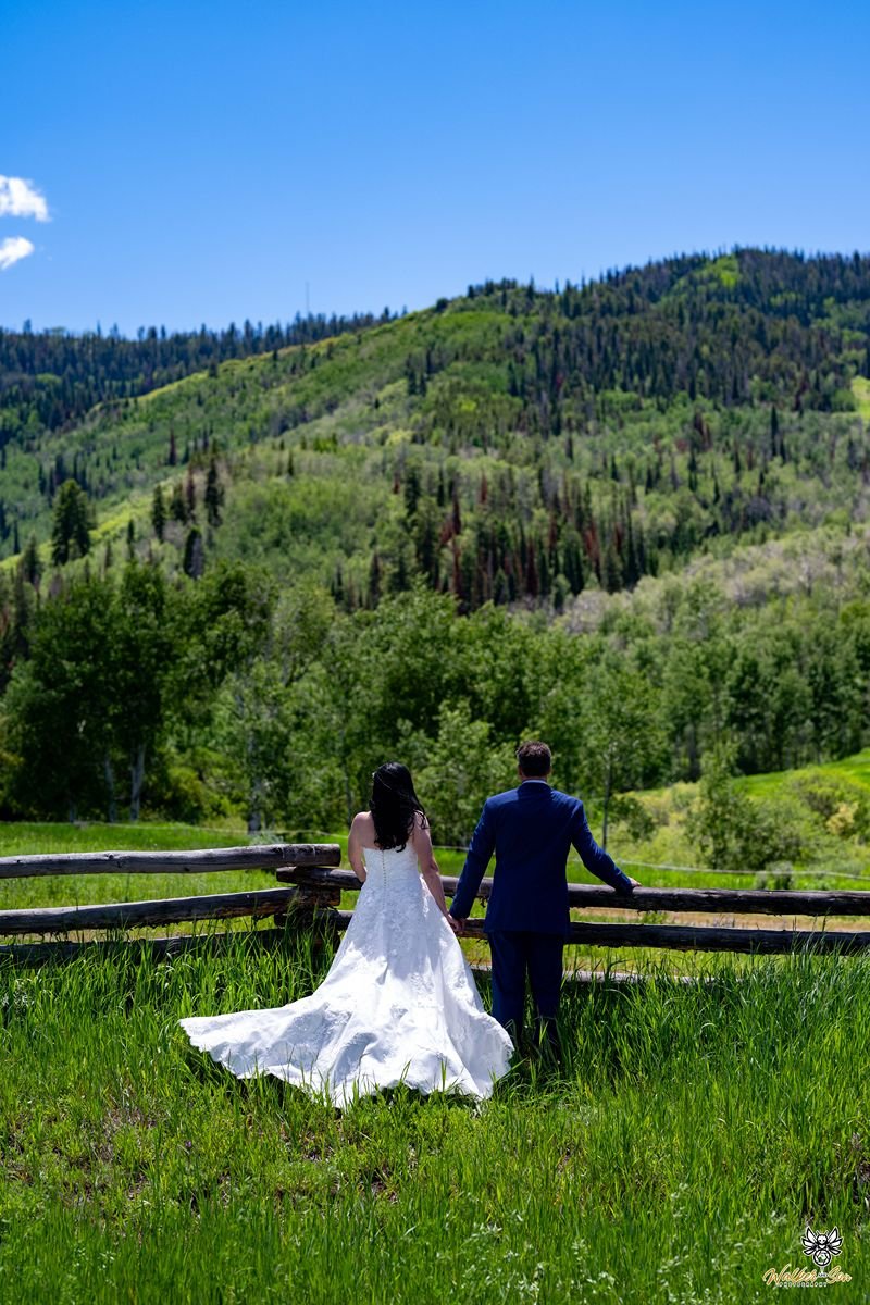 Couple leaning against fence in mountain meadow