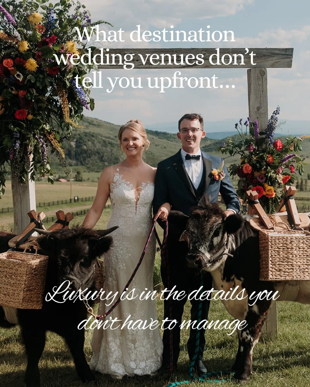 Transparently Yours: The Key to a Memorable Mountain Wedding**

Planning your dream wedding in the breathtaking Colorado mountains? Choosing a venue that values transparency is essential. Clear communication is vital; a trustworthy venue provides all