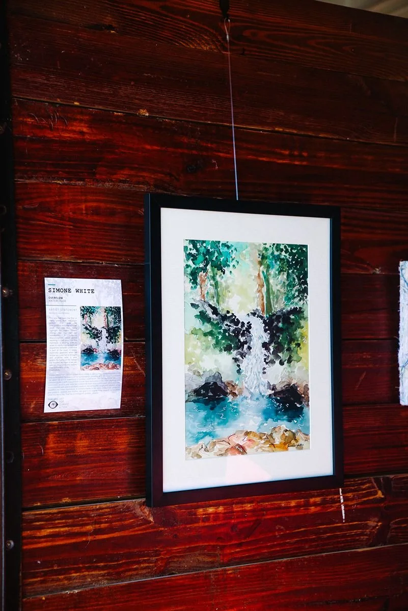 Art on Wall for Yampa Valley Sustainability