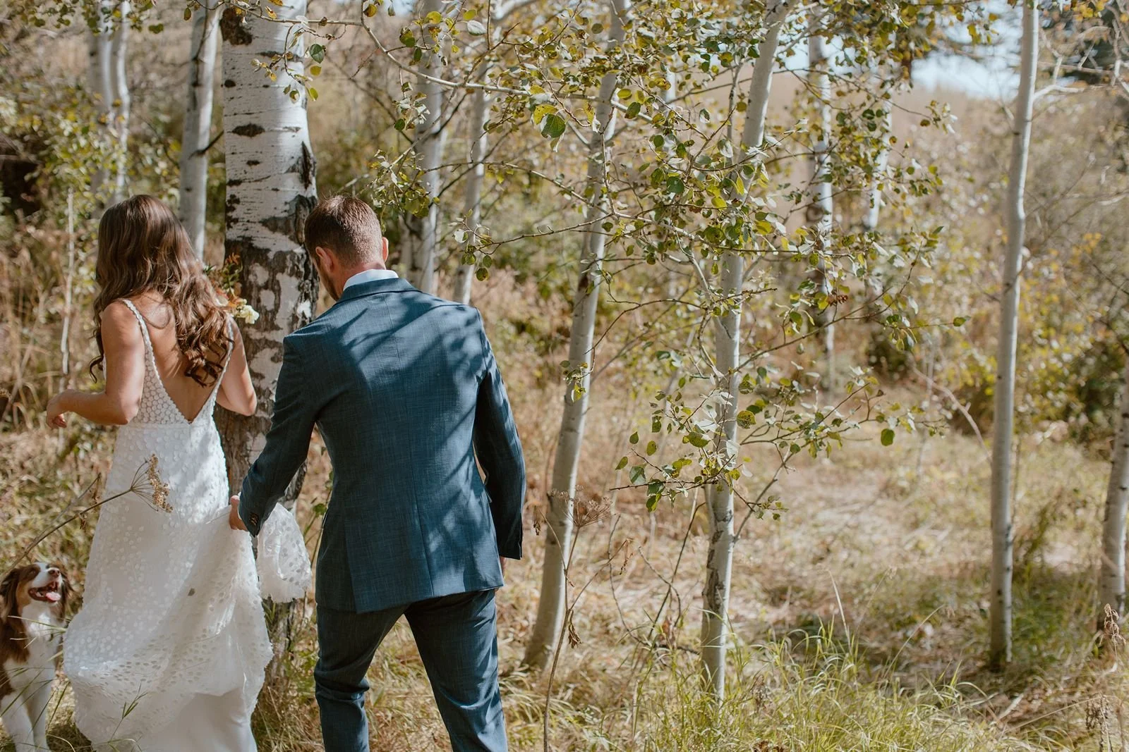 Couple walking through aspen grove at destination ranch wedding venue in Steamboat Springs