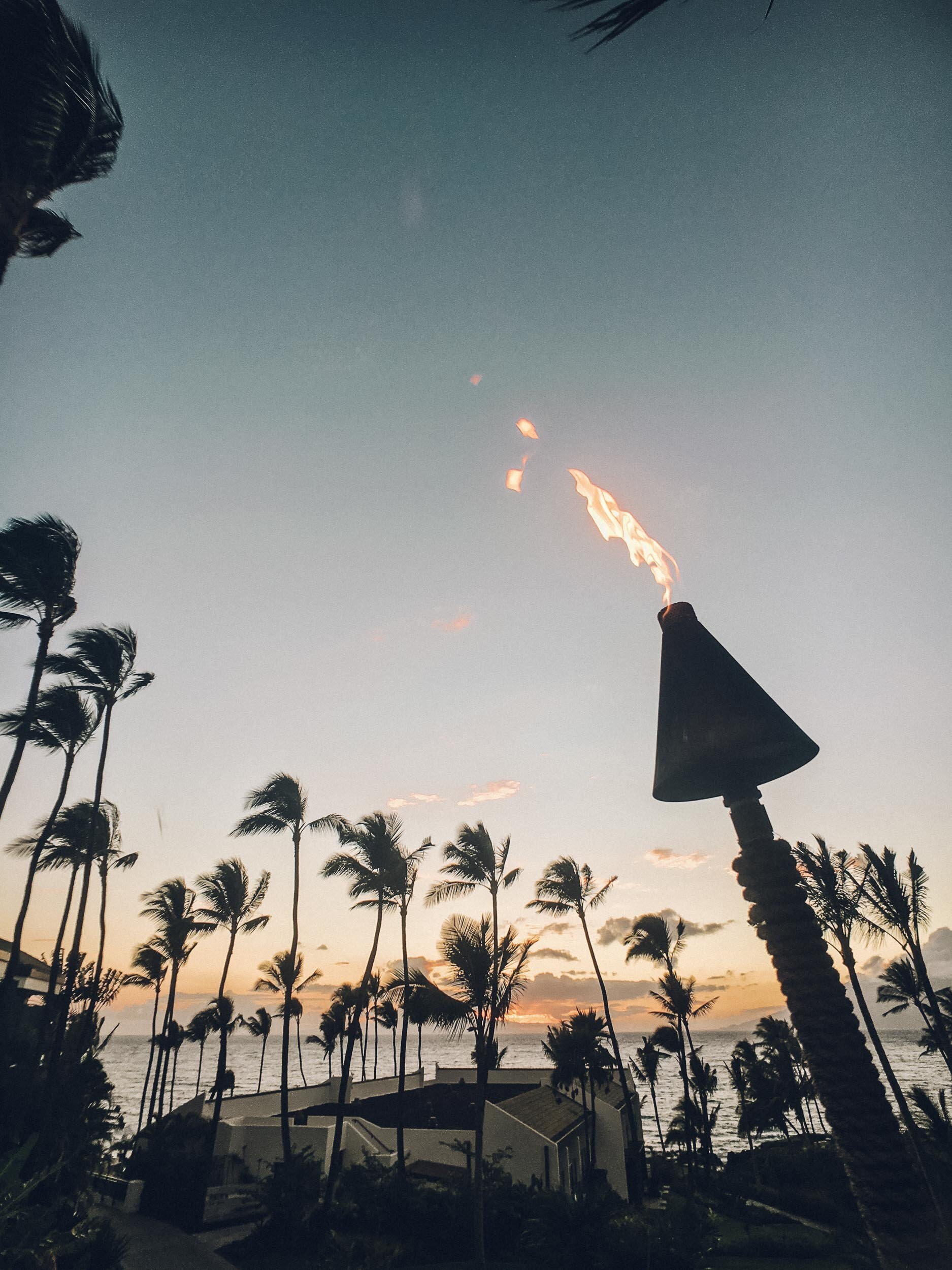 AlongForItAll_Maui-Hawaii-Honeymoon-014.jpg