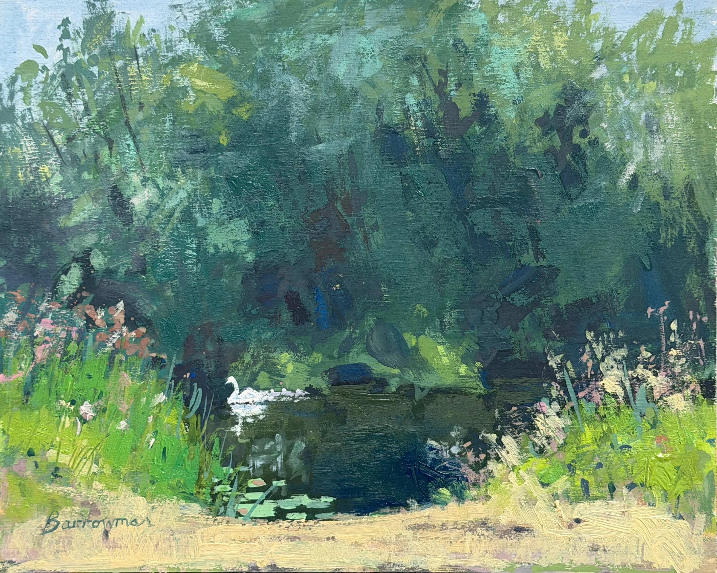 River Avon swans, Seven Meadows