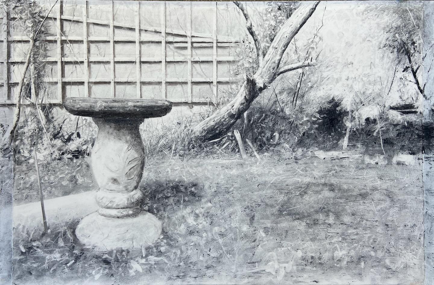 &lsquo;Bird bath &amp; apple tree&rsquo; - Charcoal 60cm x 40cm
.
A willow charcoal drawing that I will be entering into the @rbsagallery Summer Show. Deadline for entries is this Monday 22 April if you&rsquo;re thinking of entering. It&rsquo;s alway