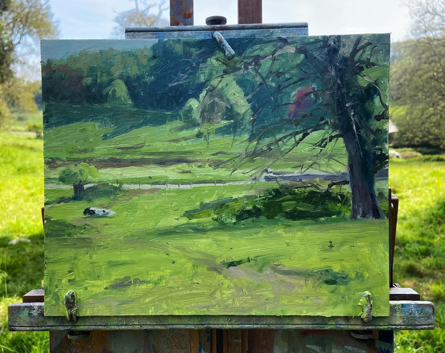 I really enjoyed an afternoon plein air painting at the Penrose Estate. Had some inquisitive cows join me too!
Oil on board - video is on my YouTube channel (link in bio).
.
#pleinairpainting #pleinairpainter #pleinairmag #krowji #andrewbarrowman #an