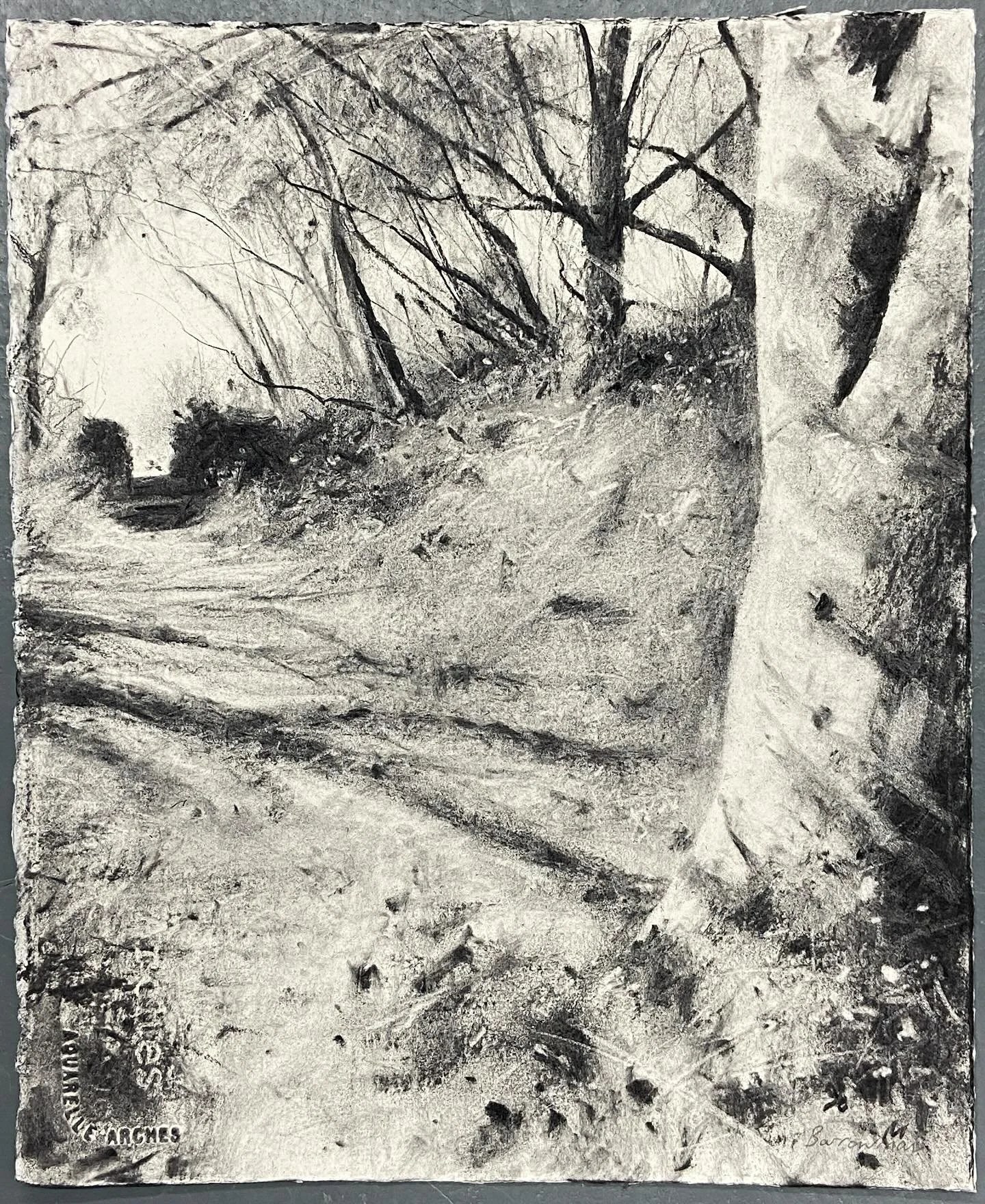 Trelowarren autumn walk 
Coates charcoal on paper 35cm x 29cm
.
#charcoal #charcoaldrawing #drawing #drawings #artsy #andrewbarrowman #drawingoftheday #trelowarren #cornwall #landscapeartist #landscapedrawing #charcoalonpaper #drawonpaper #drawingonp