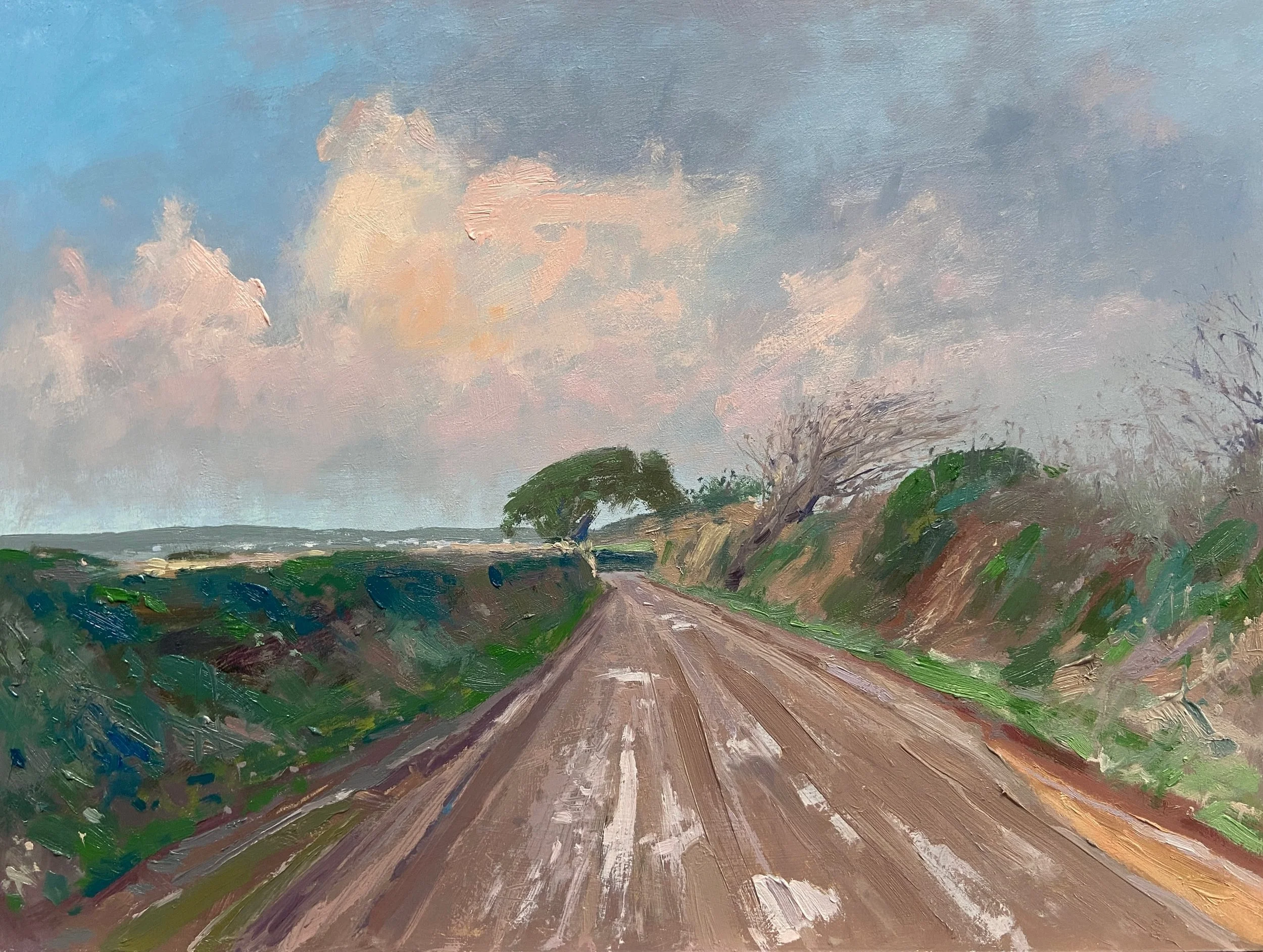 Heading back from Loe Pool, Degibna
Oil on board 40cm x 30cm
.
#landscapeartist #landscapepainting #cornwall #oilpainting #andrewbarrowman
