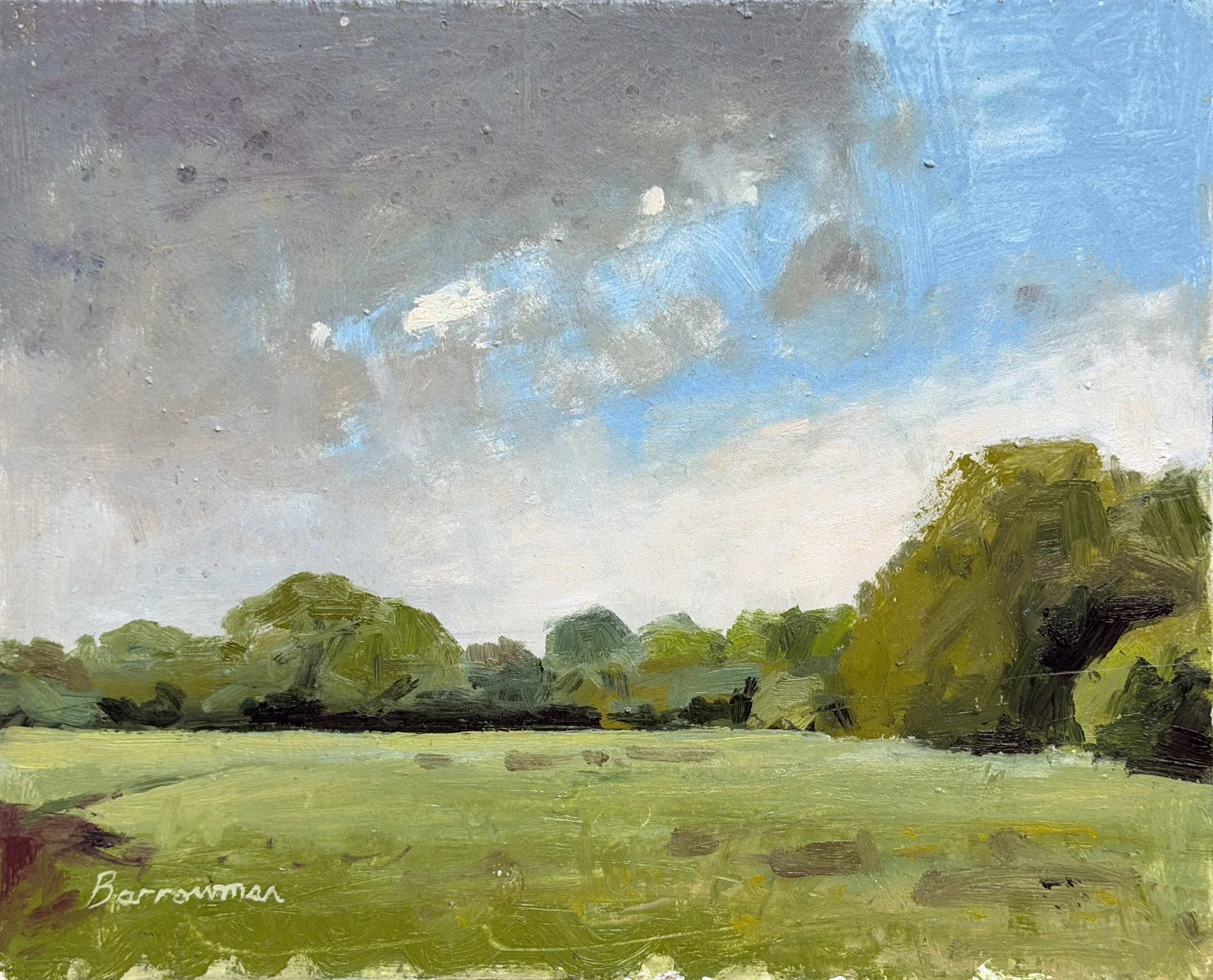View North, Walton Road fields, Wellesbourne