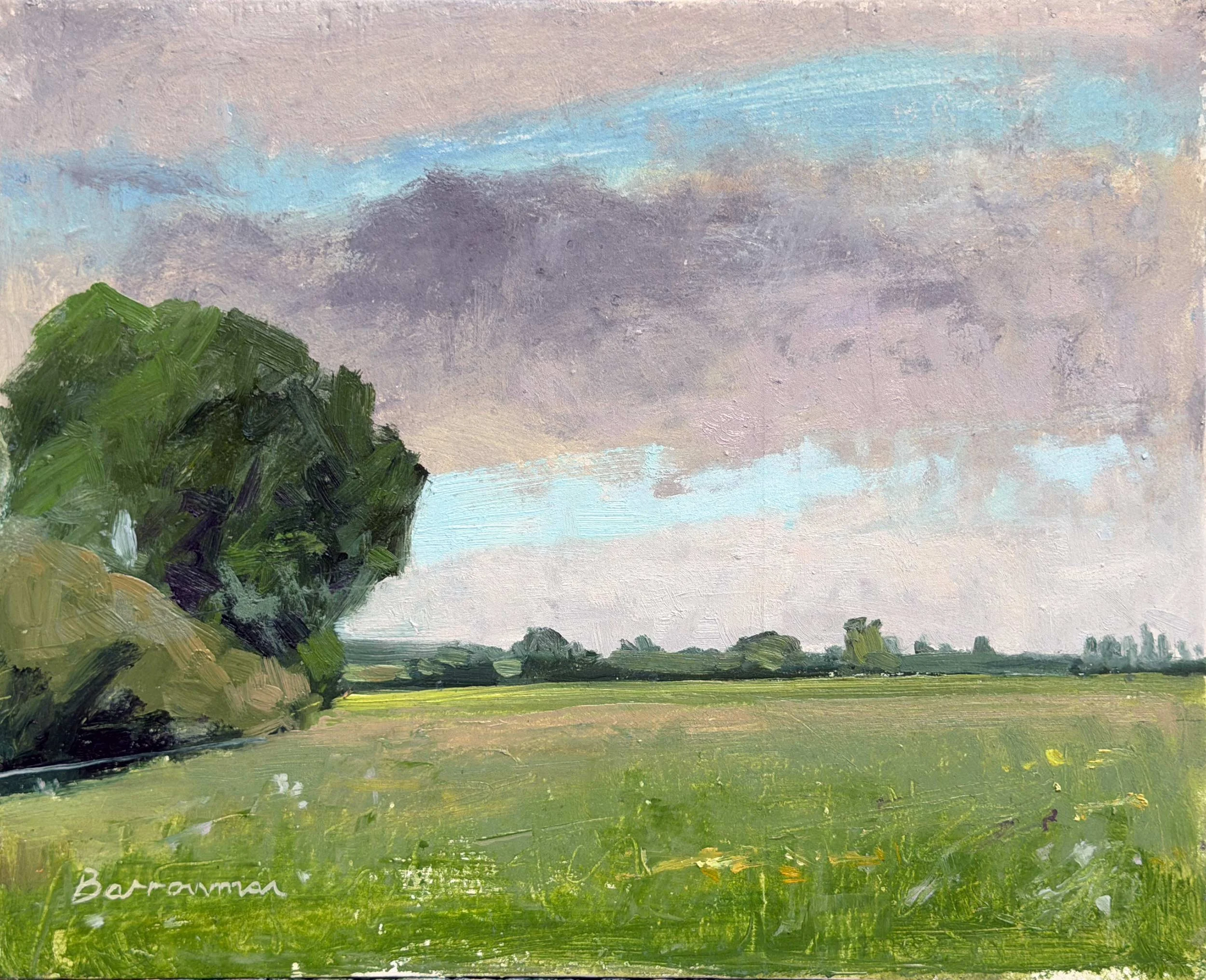 View South, Walton Road fields, Wellesbourne