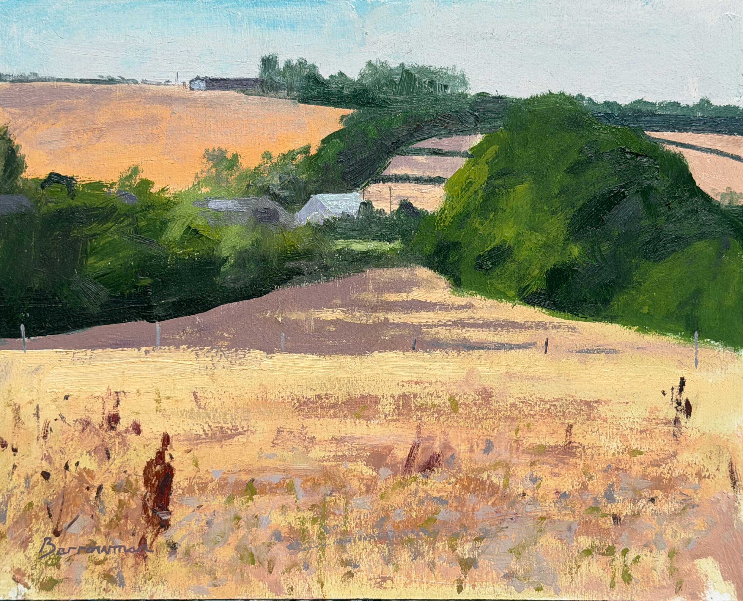 Warm July evening near Snitterfield