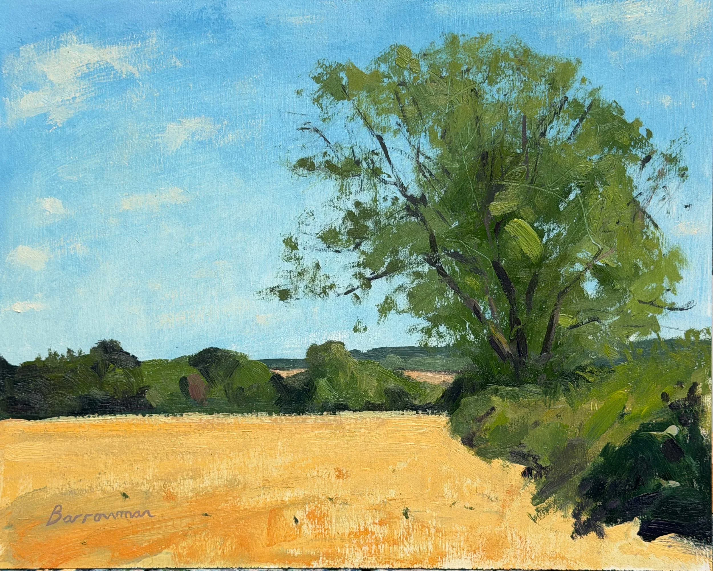 July afternoon, Lower Quinton
