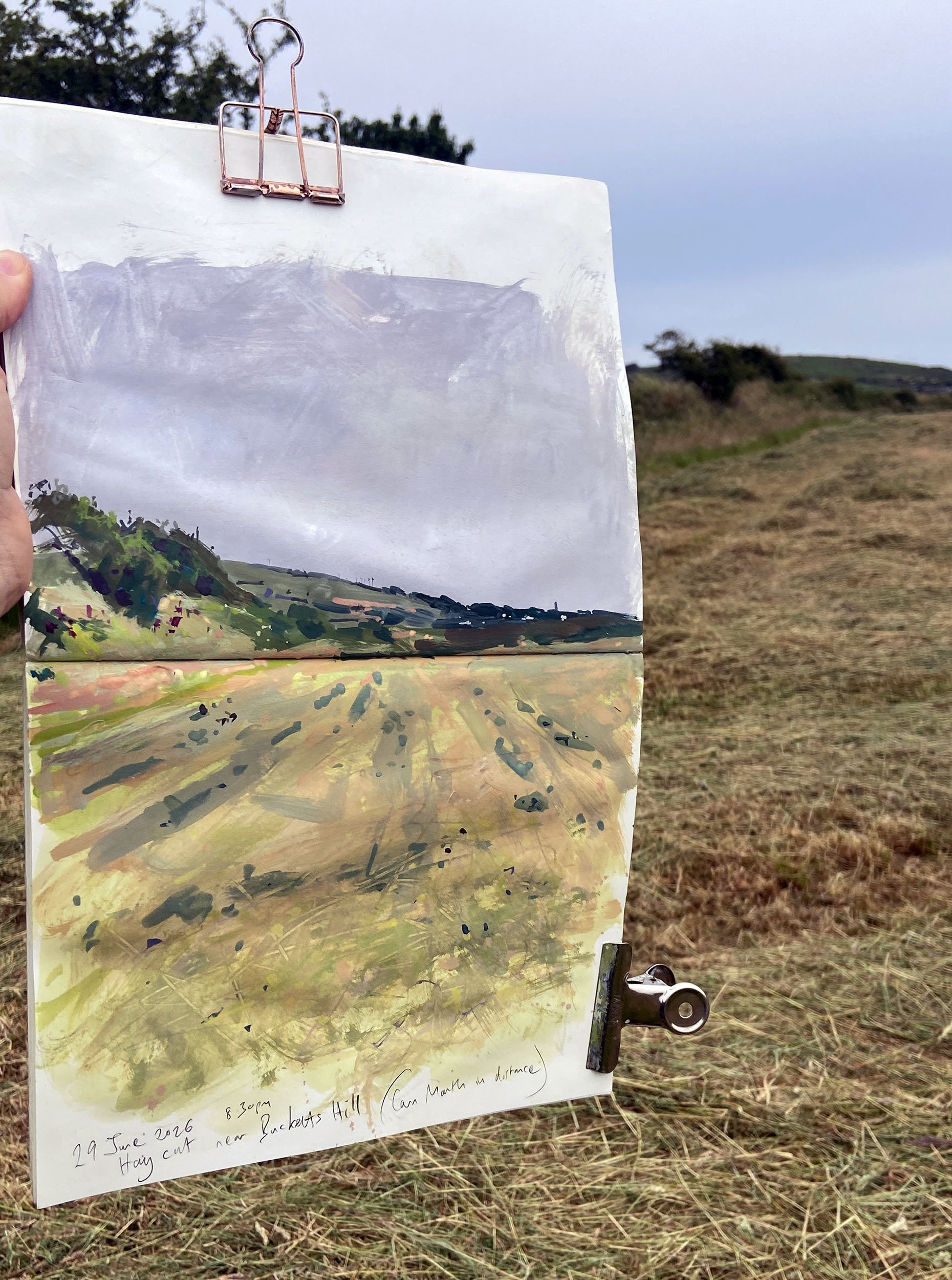 Hay cut, Redruth