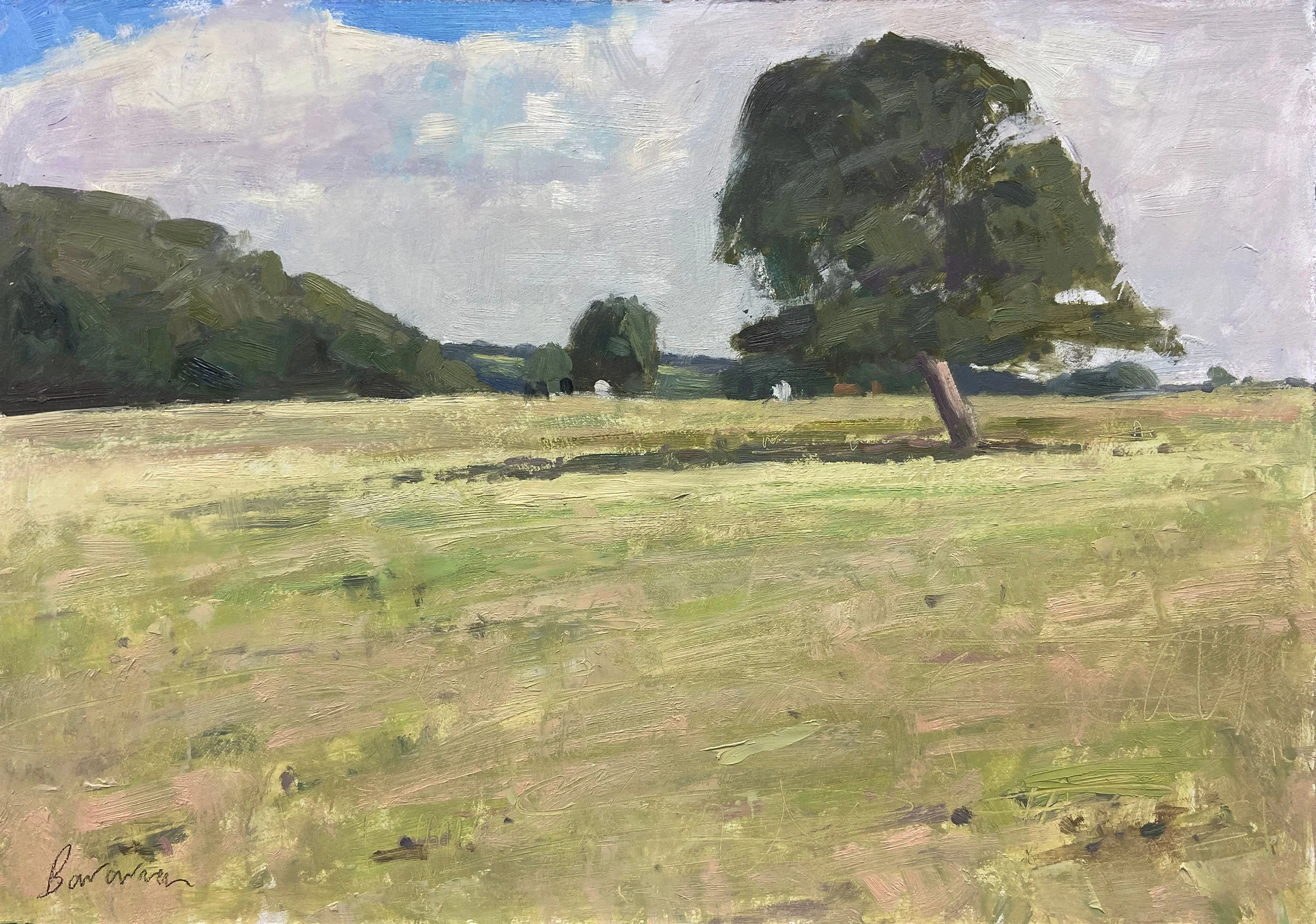 Summer landscape (plein air painting demo)