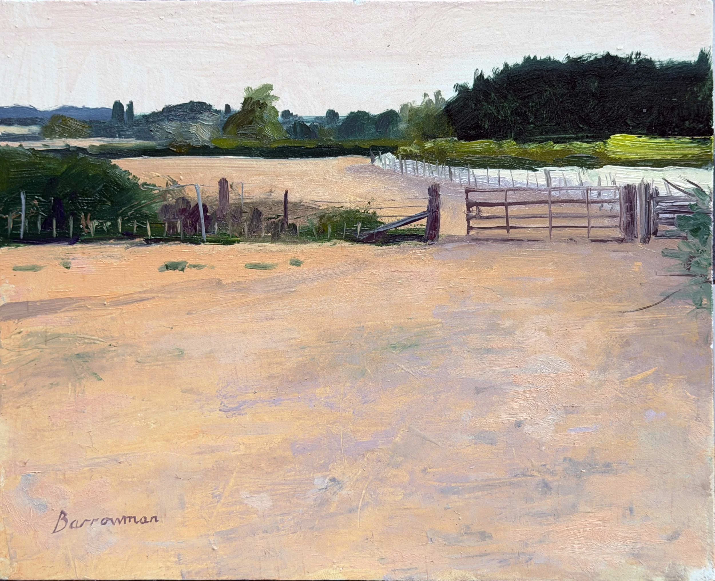 Salters Lane evening near Little Alne