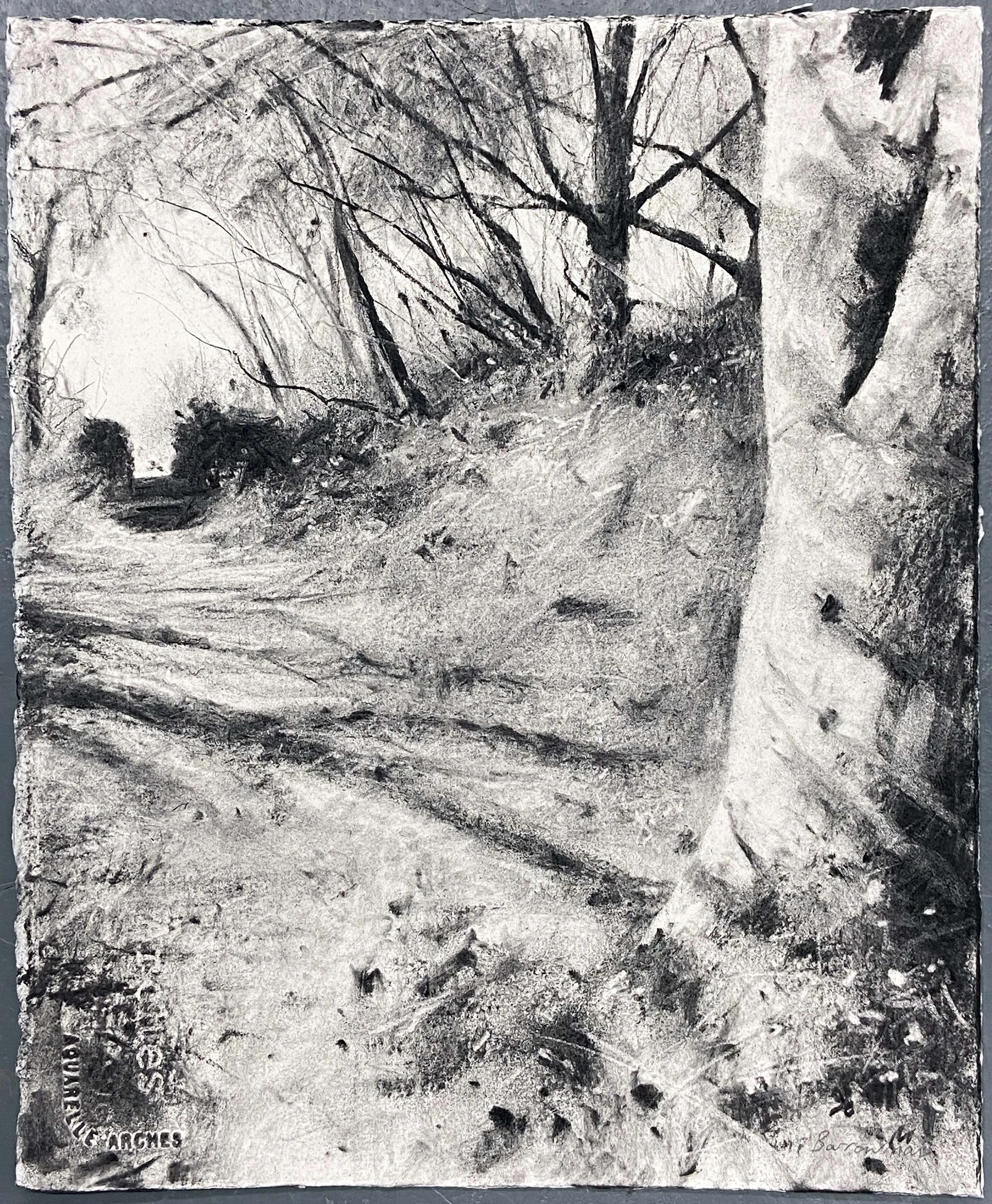 Autumn walk, Trelowarren - charcoal on paper 2025