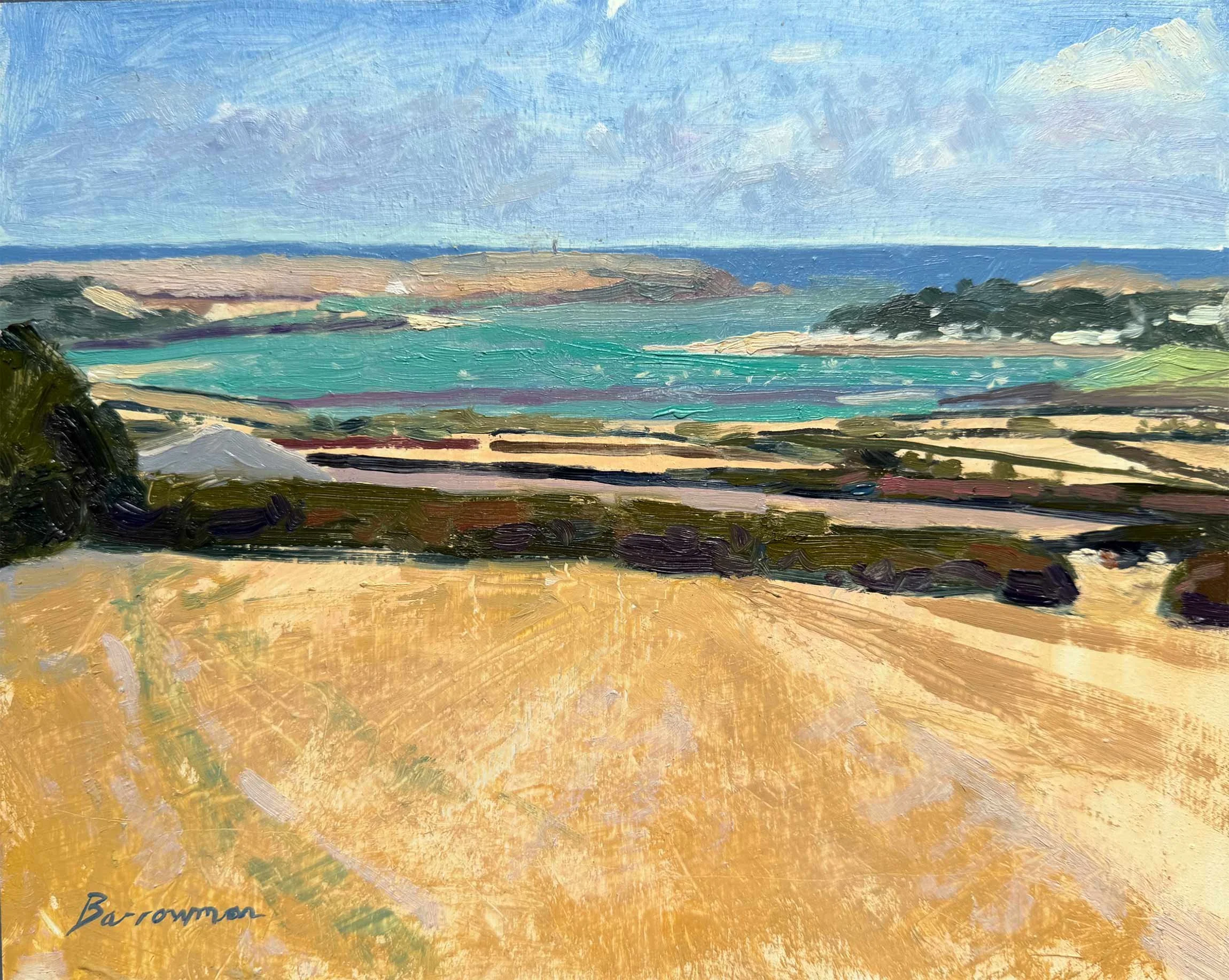 camel-estuary.jpg