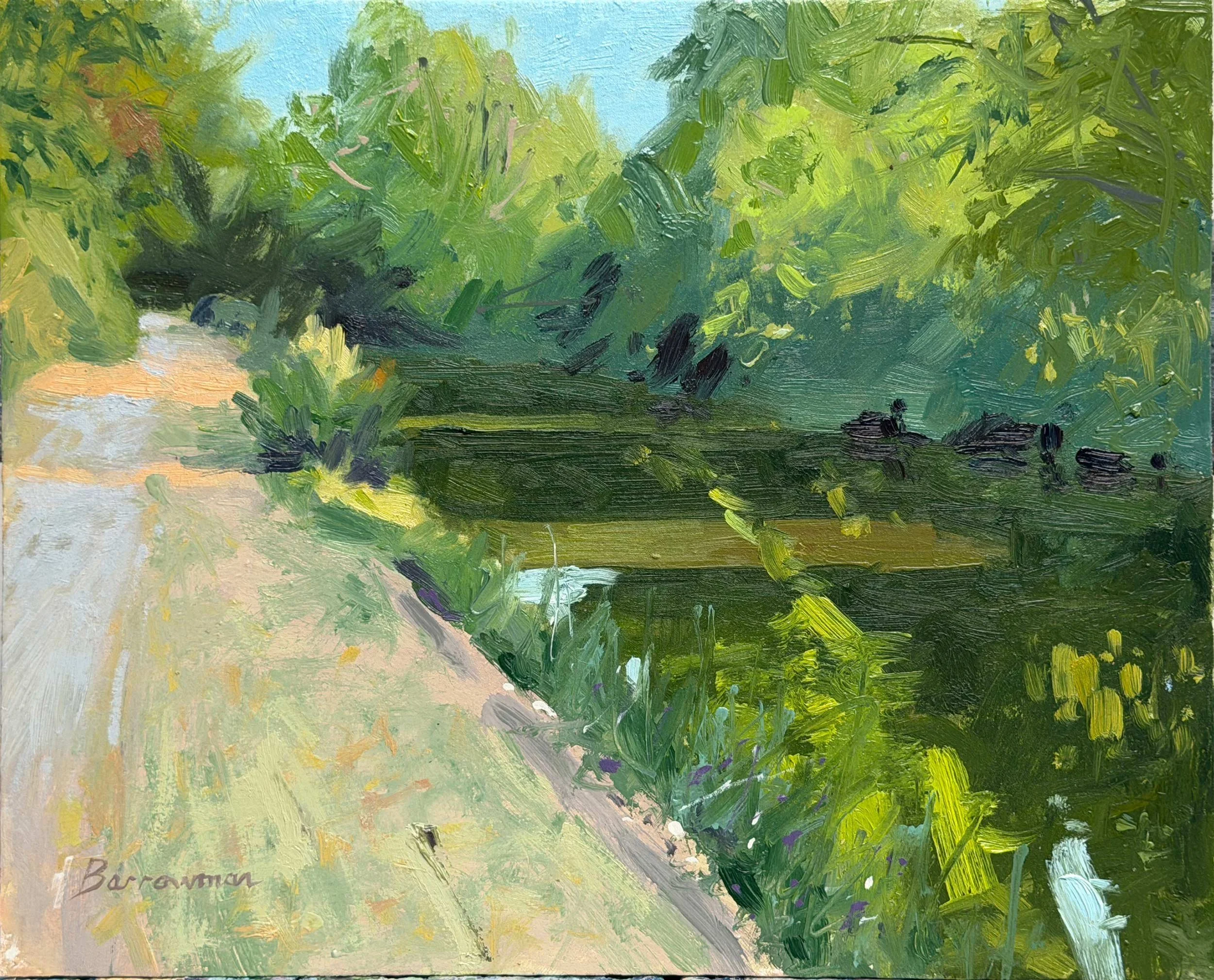 Shadows across the tow path, Stratford canal