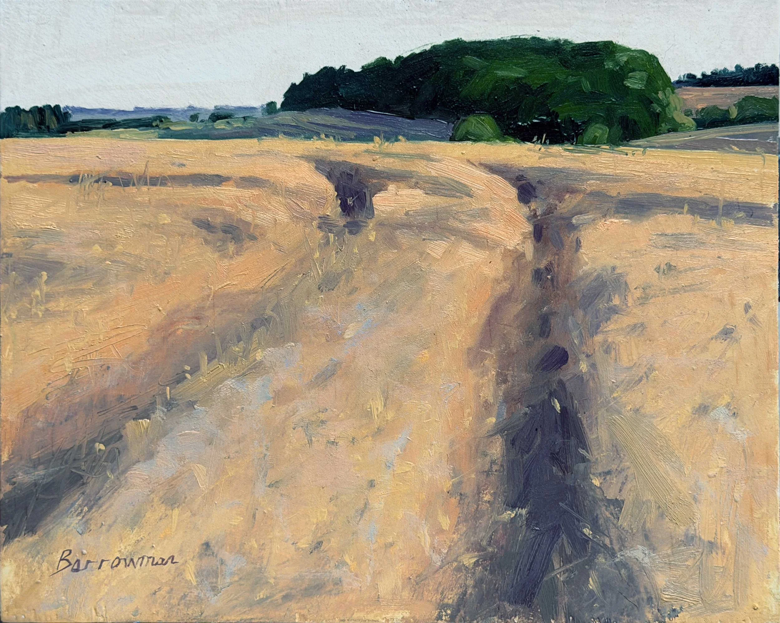 Fields along The Ridgeway