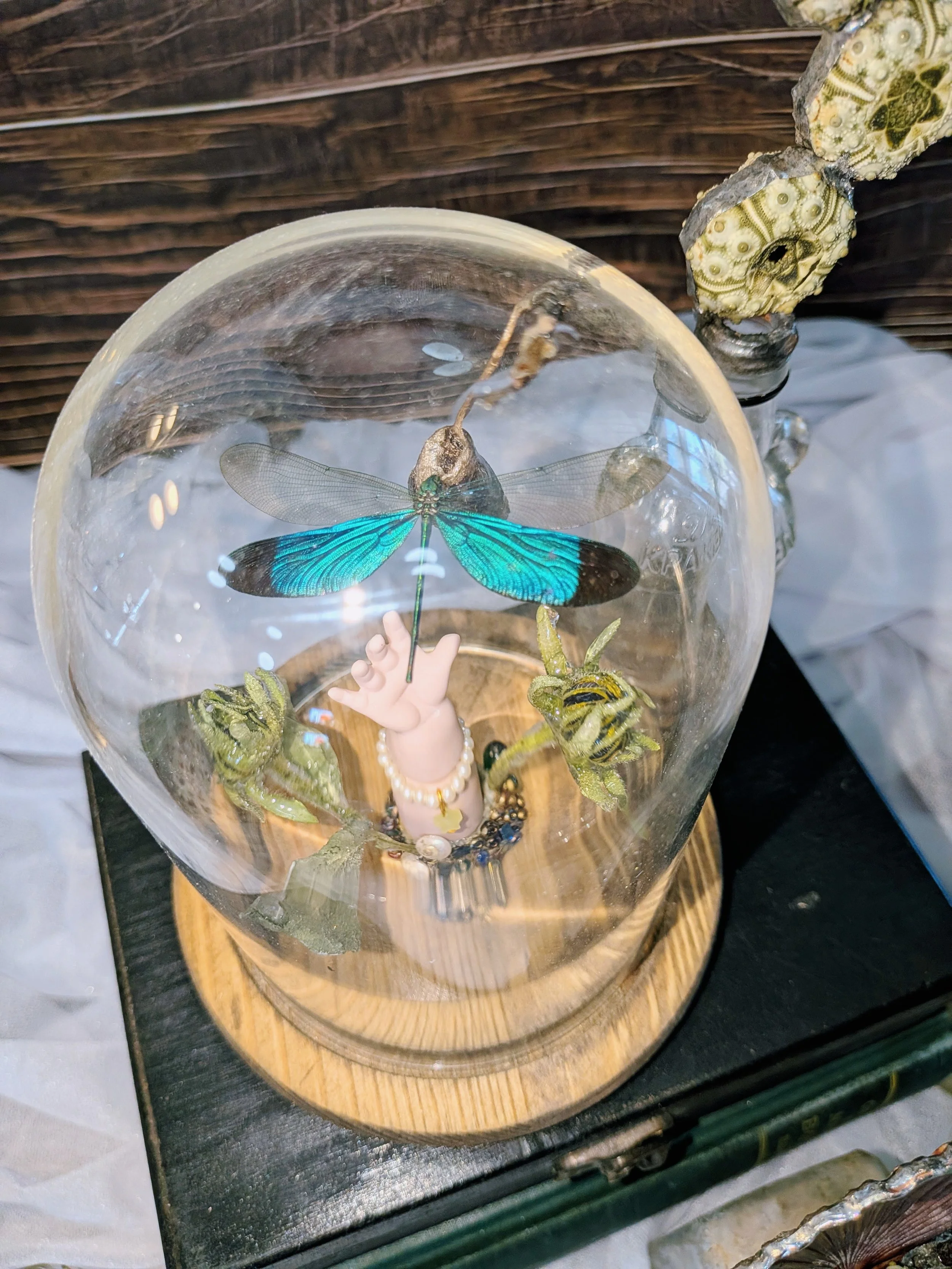 Gothic Doll Hand & Preserved Insect Cloche Diorama- Creepy Cute Oddities Decor
