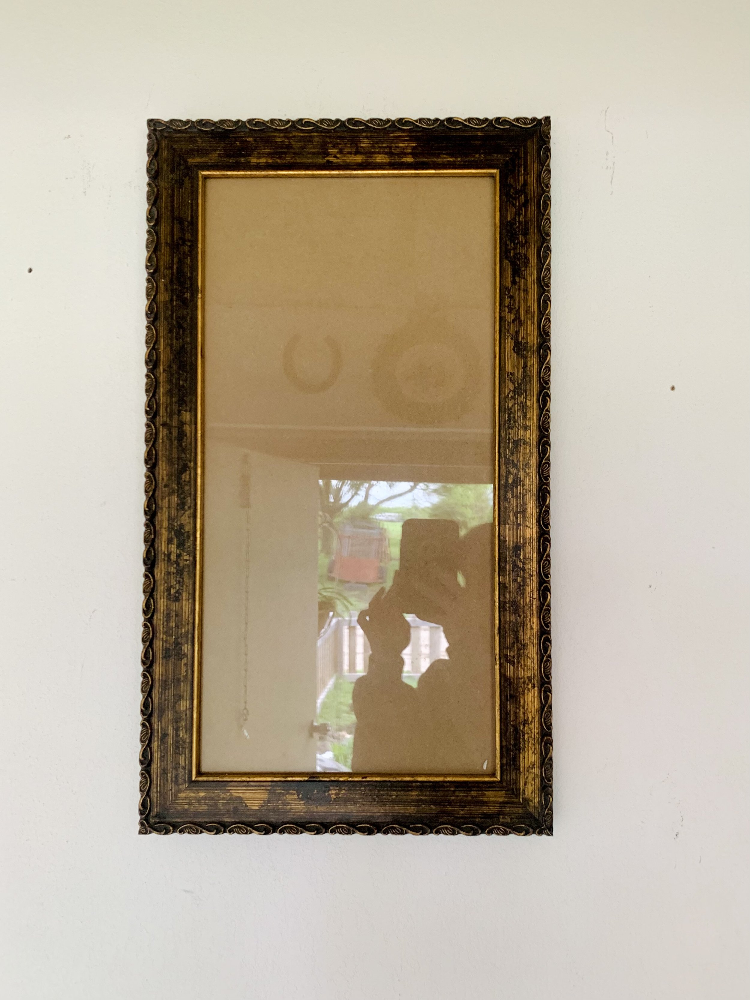 IMG_7231.jpeg
