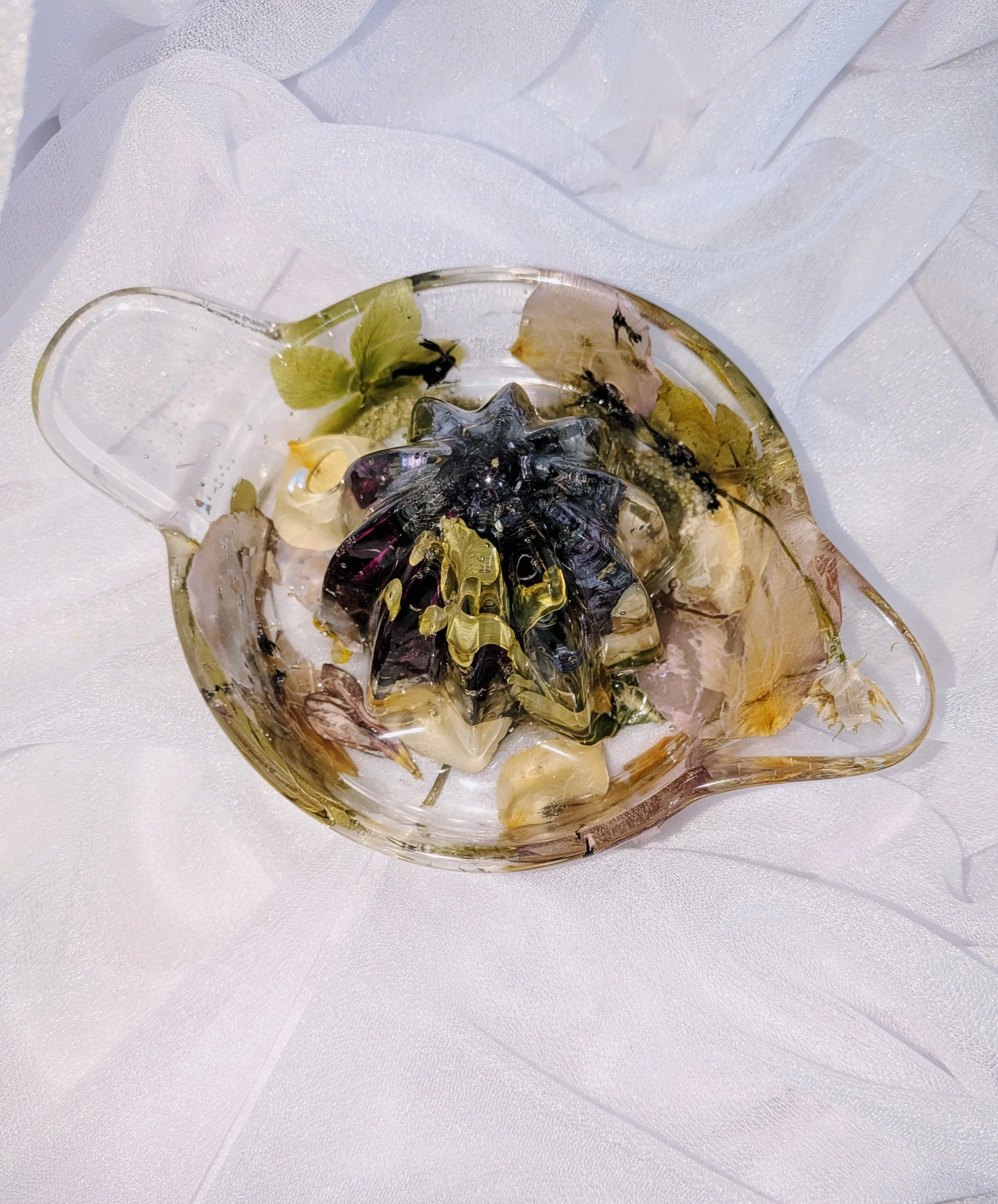 PXL_20260722_160318563.jpg