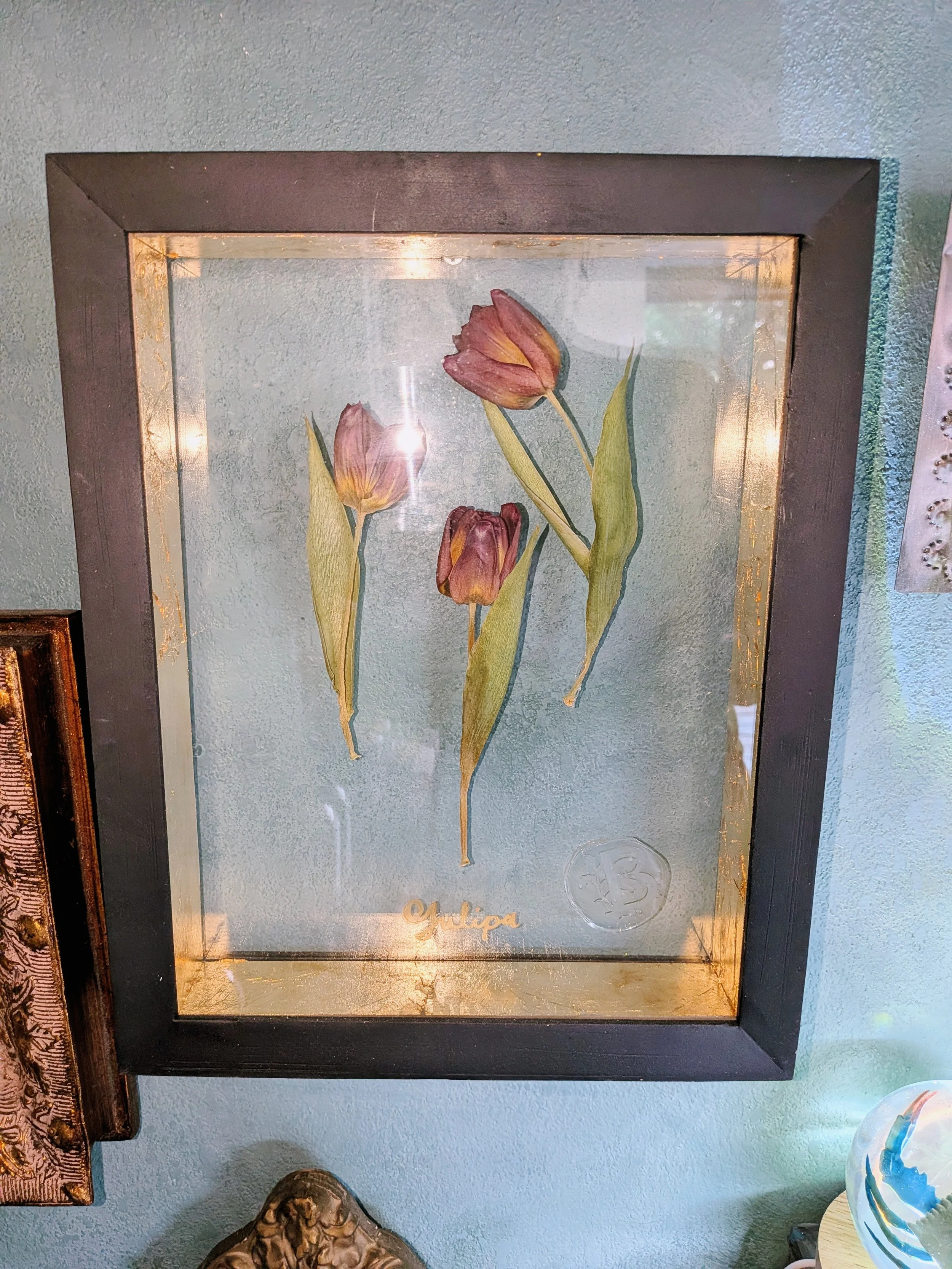 Tulip Herbarium: Floating Frame Shadowbox- Gold Leaf Real Flower.